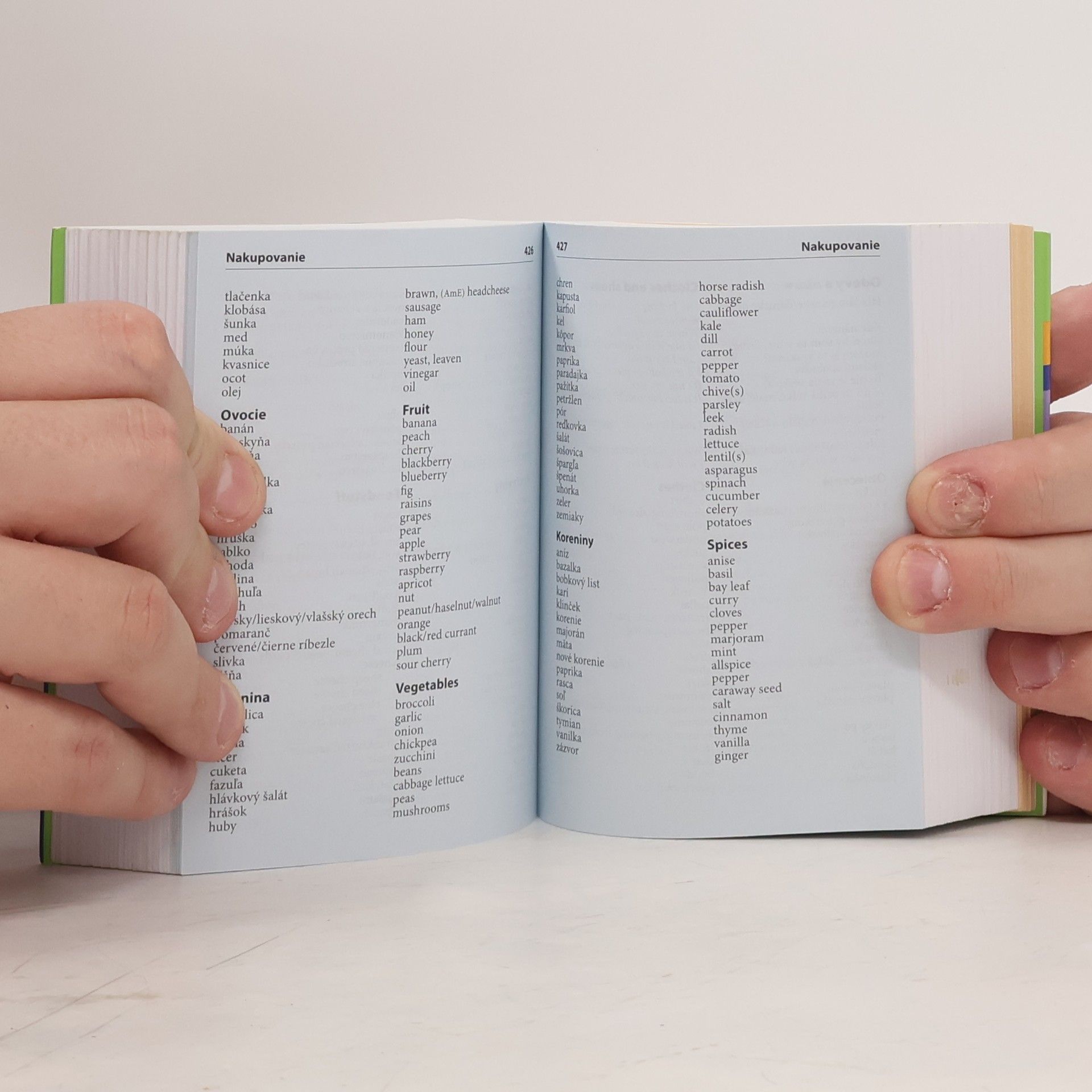 Autorenkollektiv Anglicko-slovenský, slovensko-anglický vreckový slovník