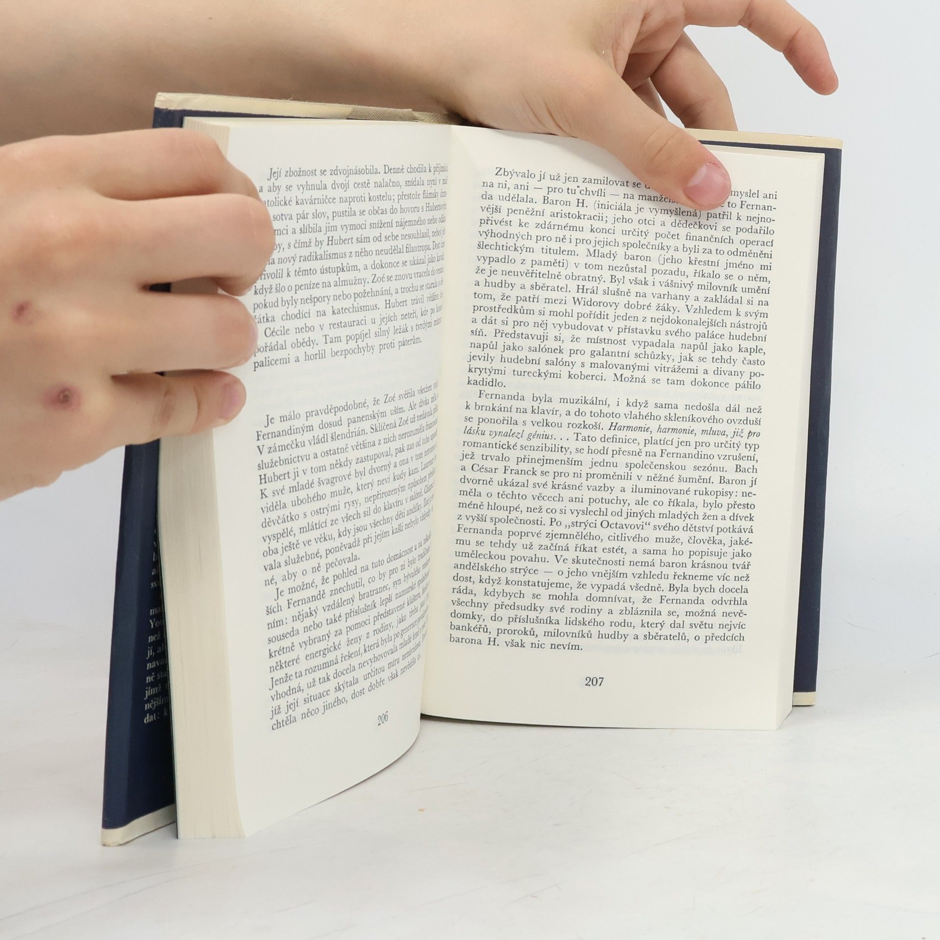 Marguerite Yourcenar Bludiště světa