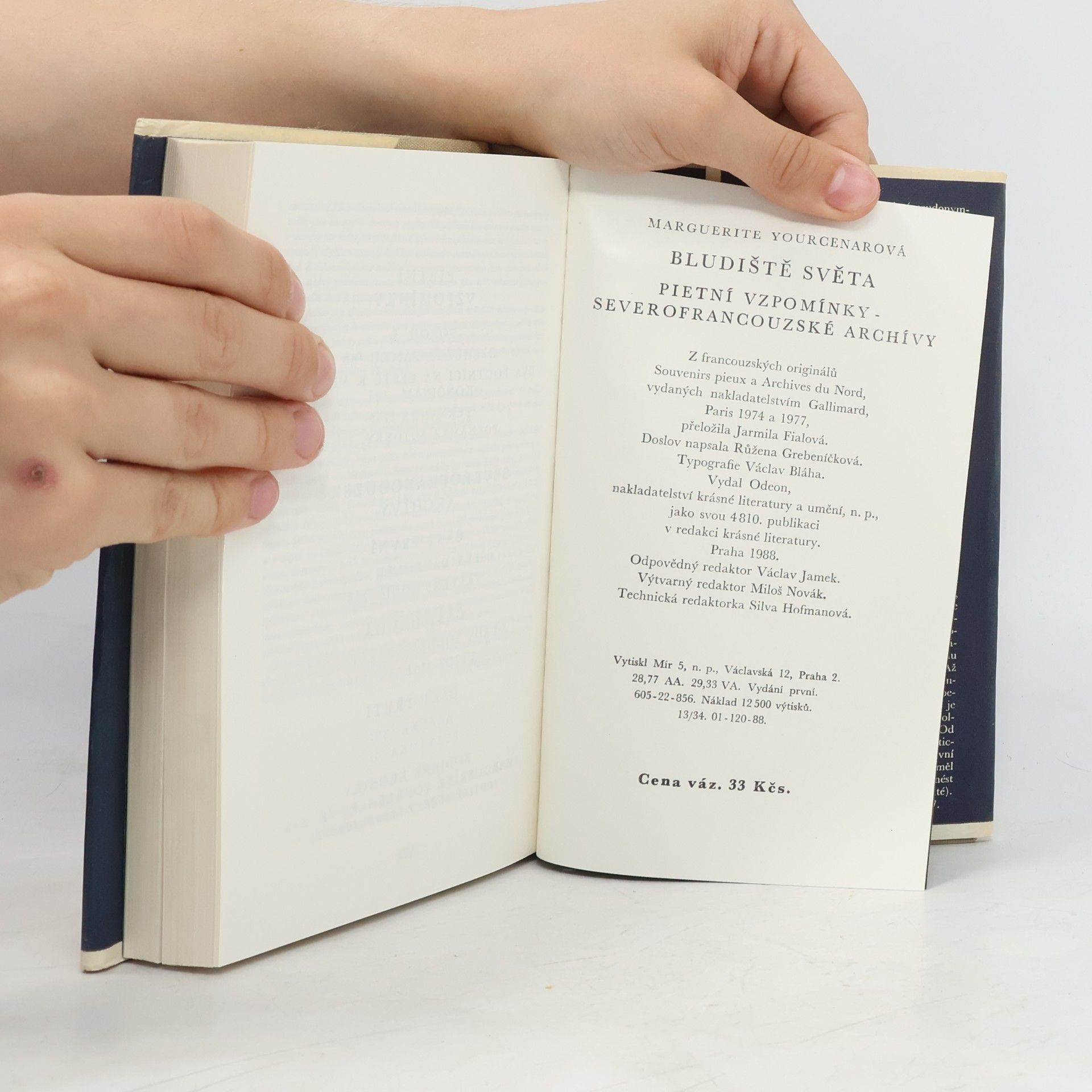 Marguerite Yourcenar Bludiště světa