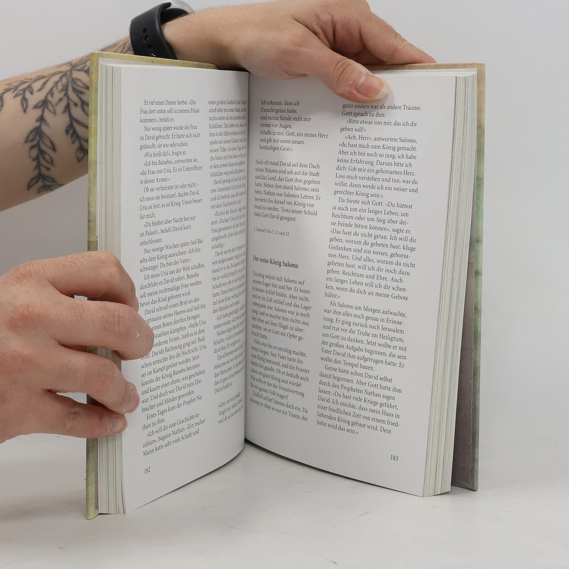 Eckart zur Nieden Die Kinderbibel
