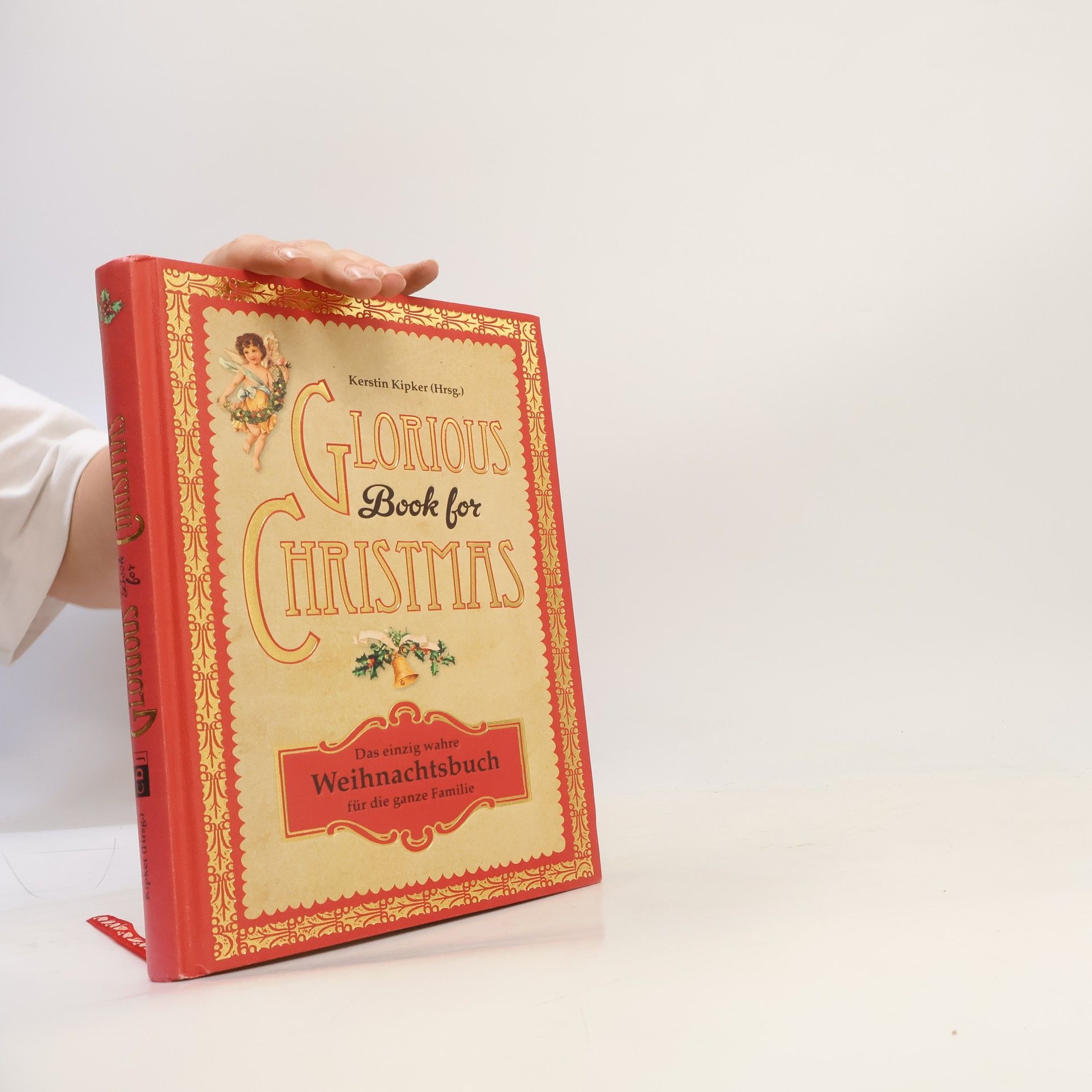 Glorious book for Christmas