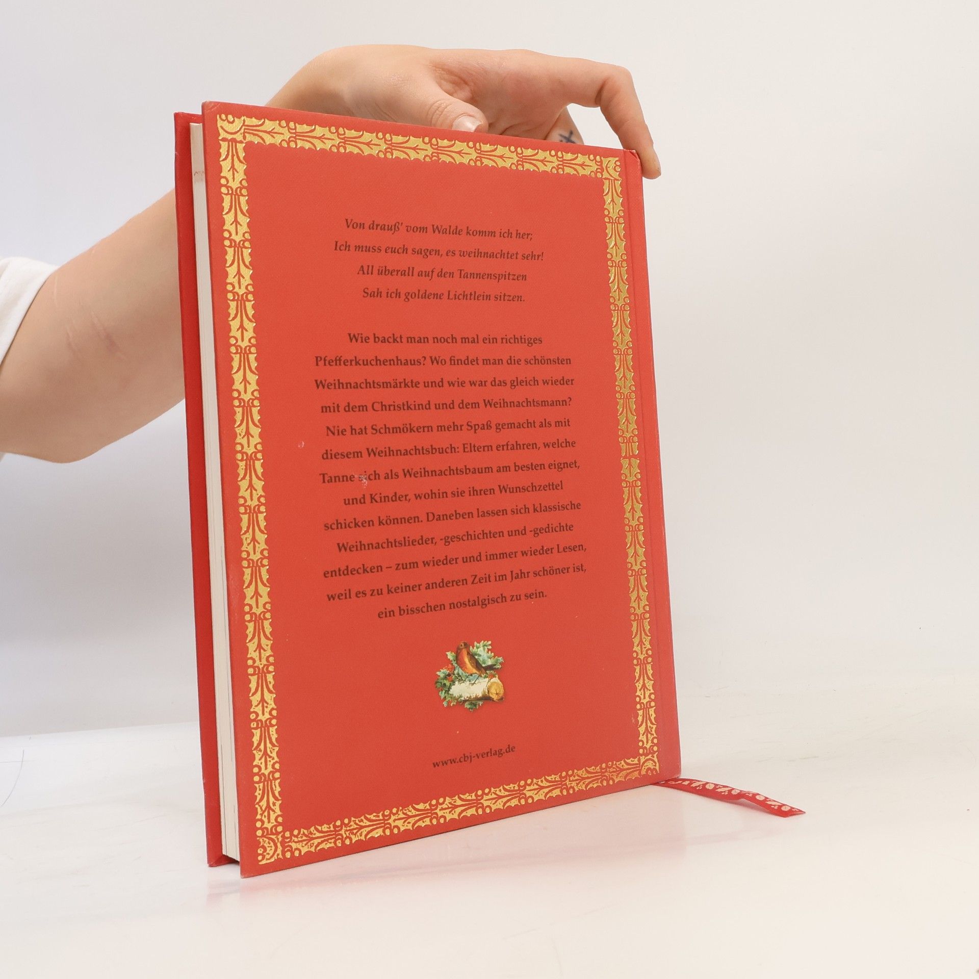 Kerstin Kipker Glorious book for Christmas