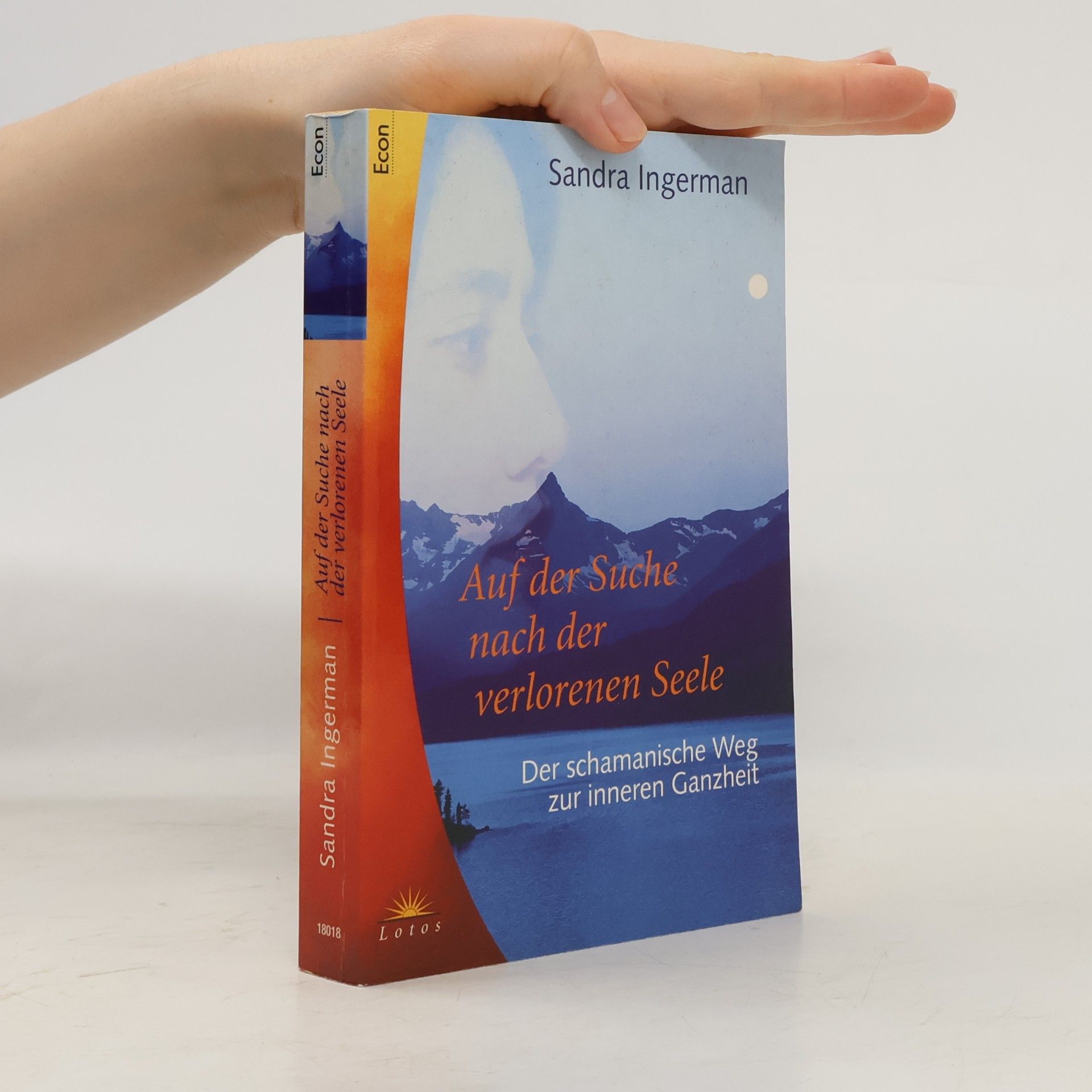 Sandra Ingerman Auf der Suche nach der verlorenen Seele