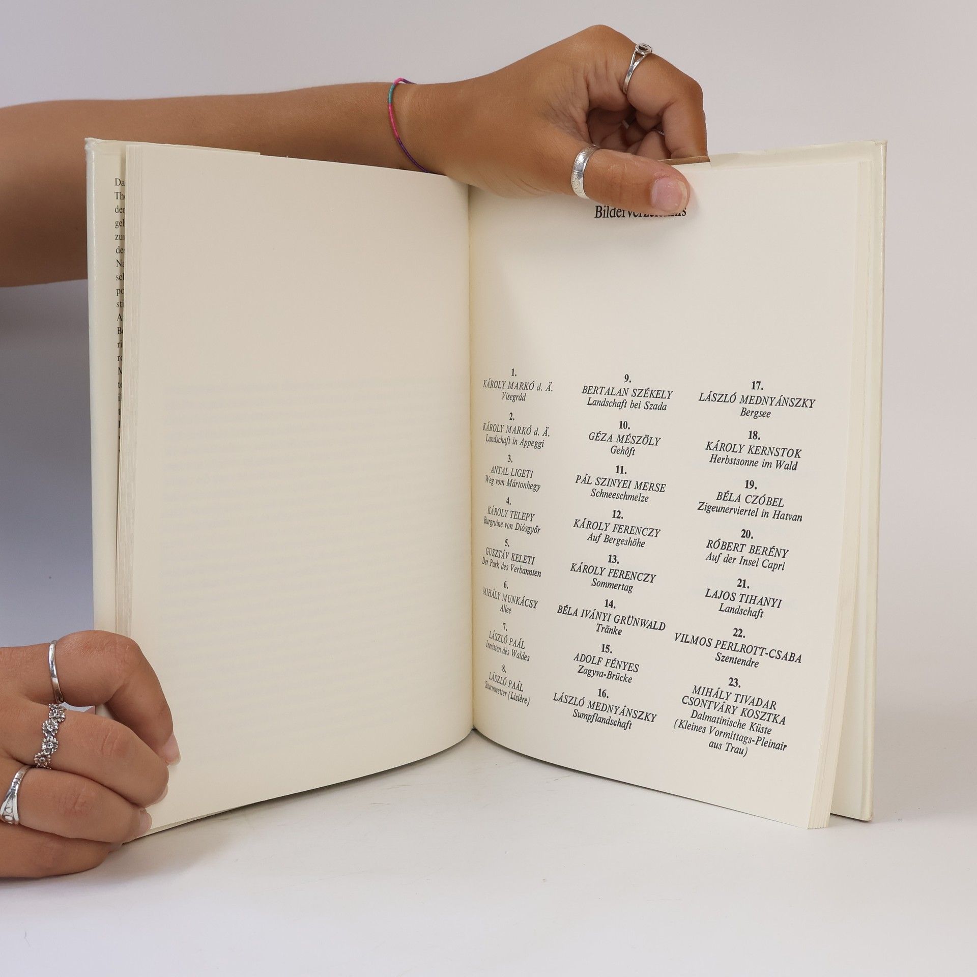 Katalin Telepy Landschaftsbilder in der Ungarischen Nationalgalerie
