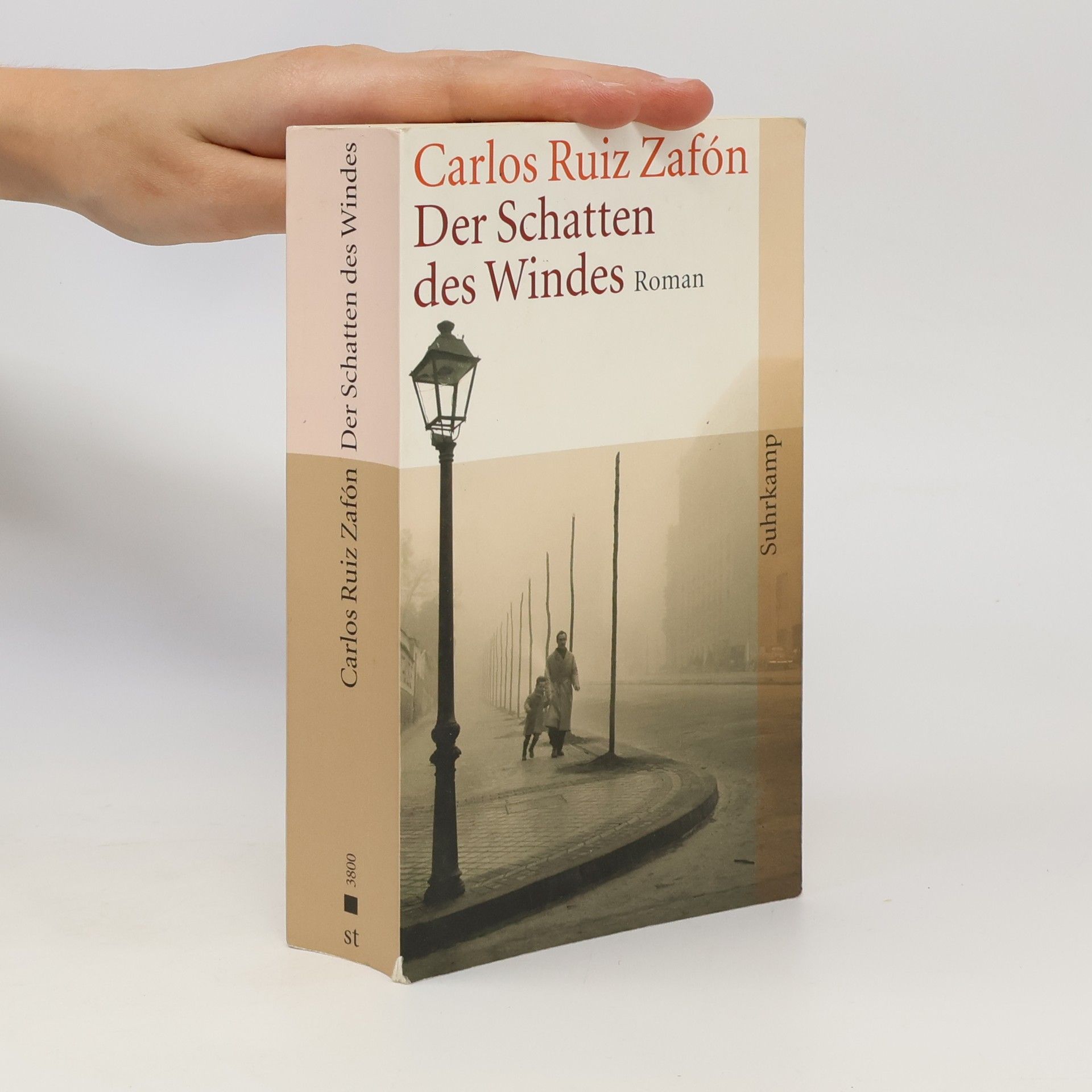 Carlos Ruiz Zafón Der Schatten des Windes