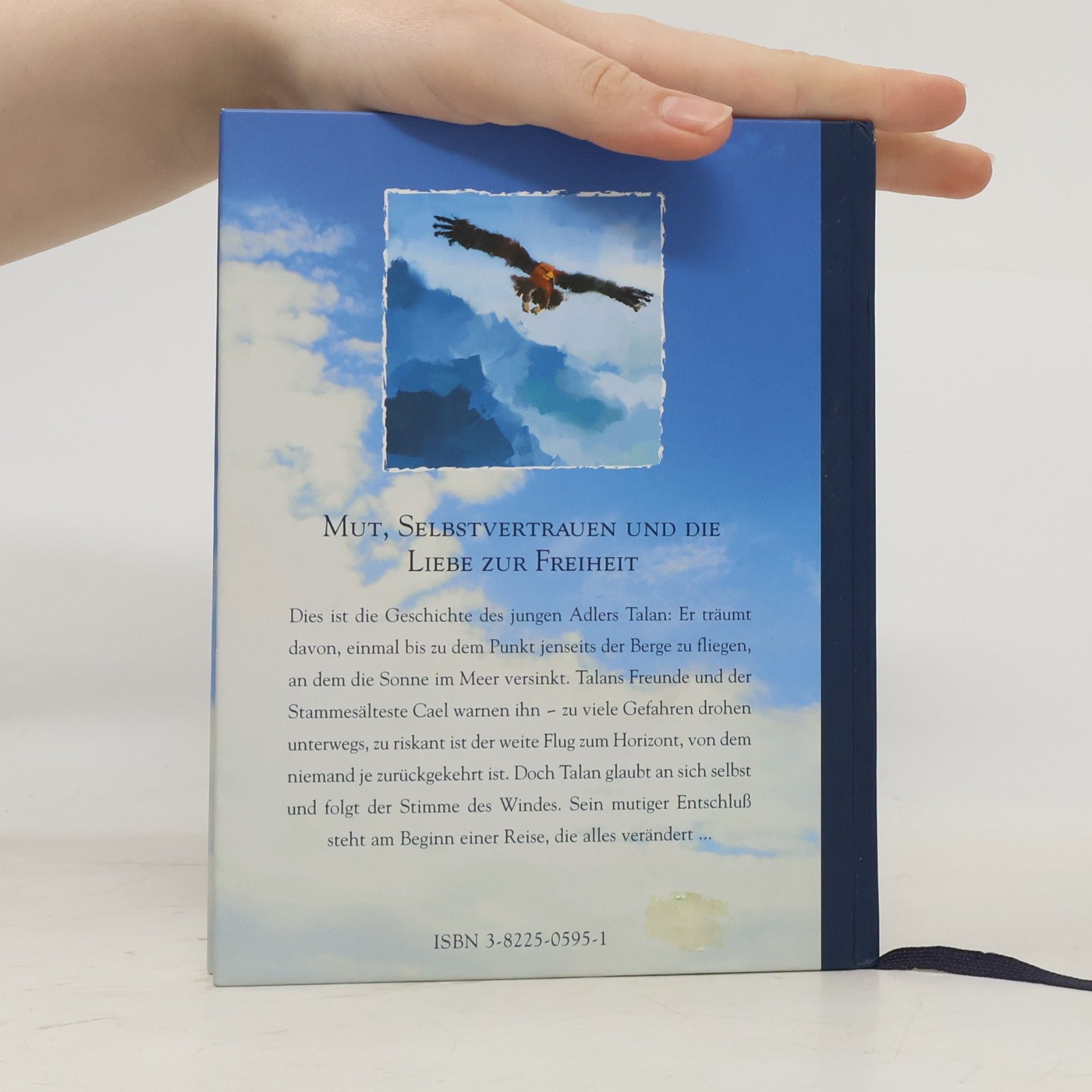 Peter OConnor Der freie Flug des Adlers