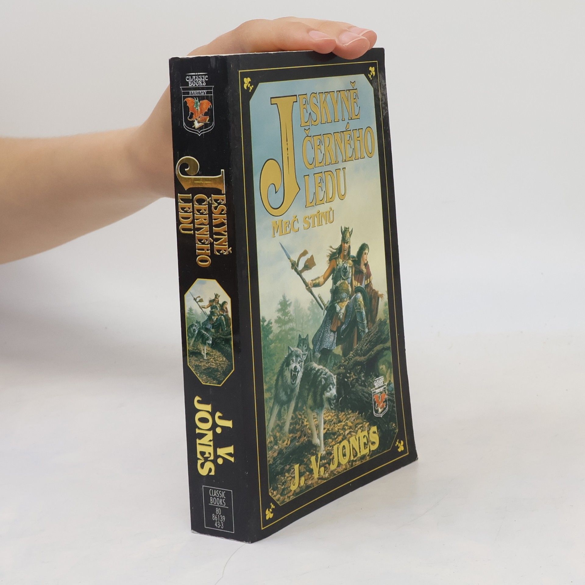 Julie V. Jones Jeskyně černého ledu I: Meč stínů