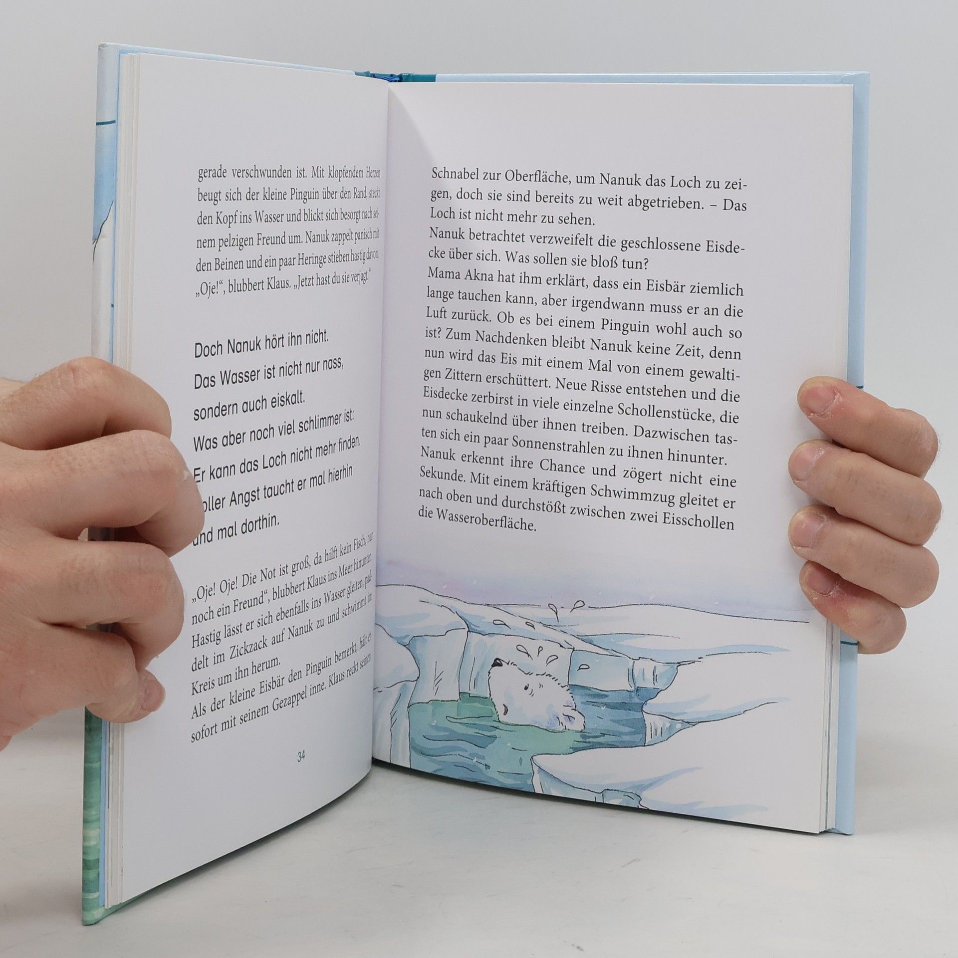 Patricia Schröder Nanuk - ein kleiner Eisbär findet Freunde