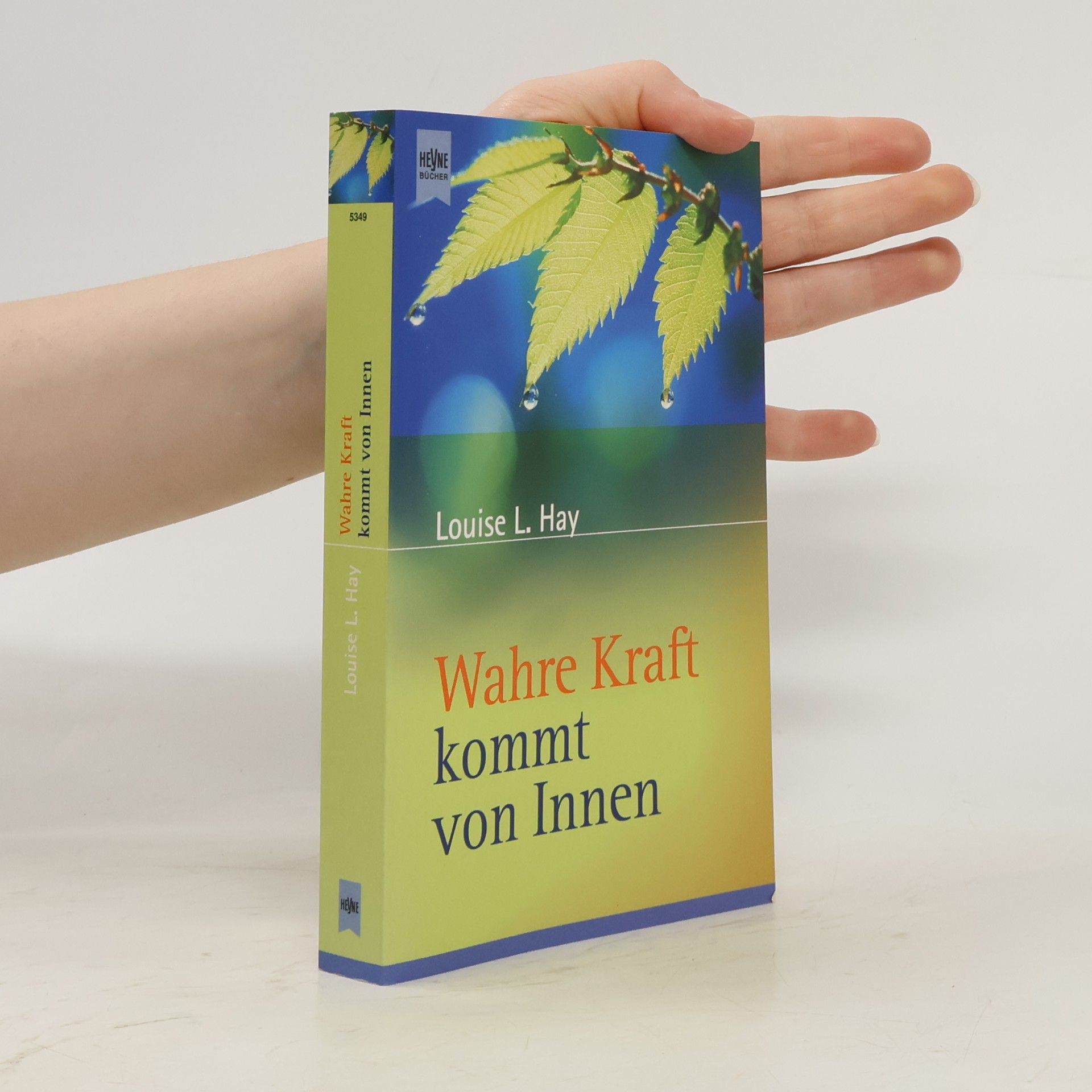 Louise Lynn Hay Wahre Kraft kommt von innen
