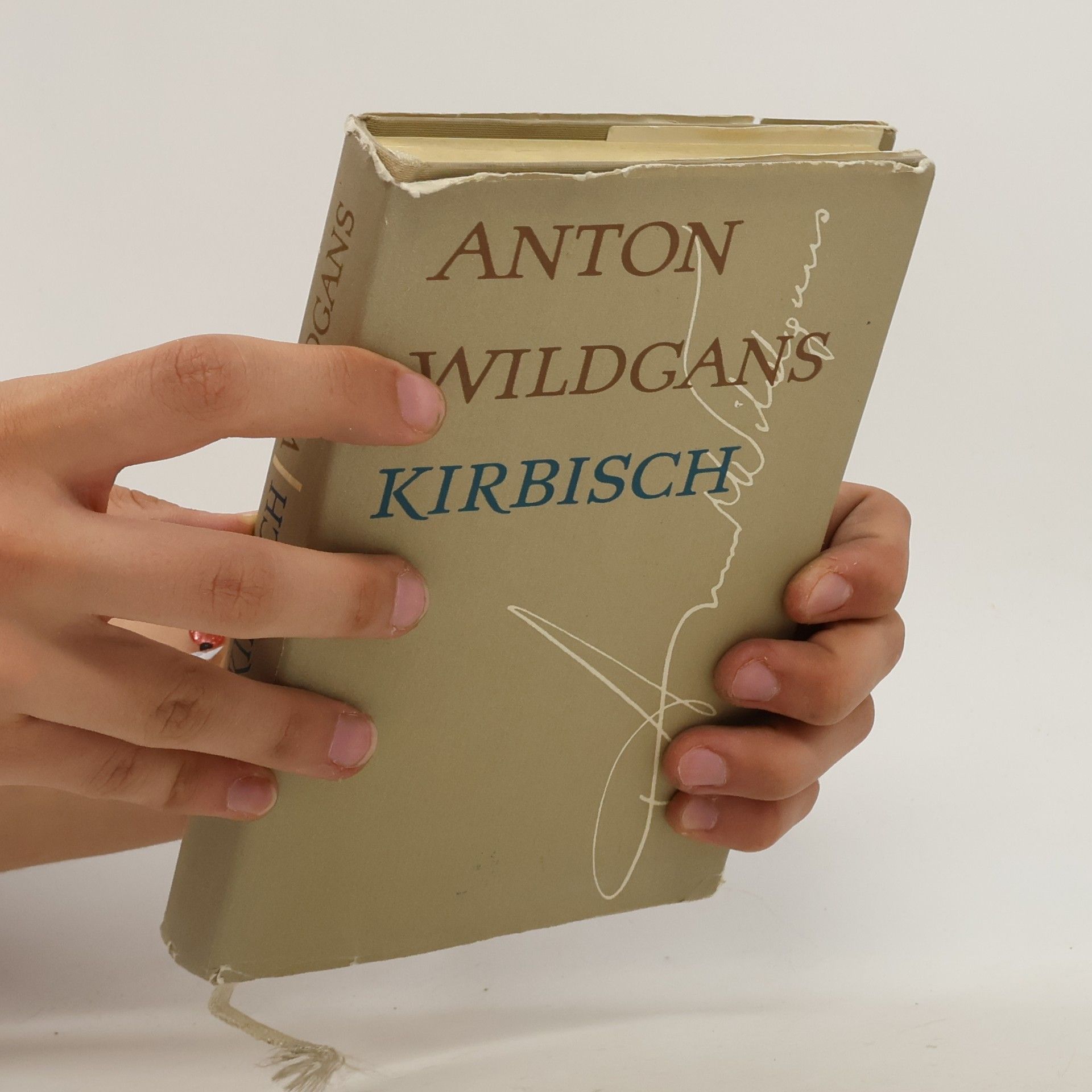 Anton Wildgans Kirbisch