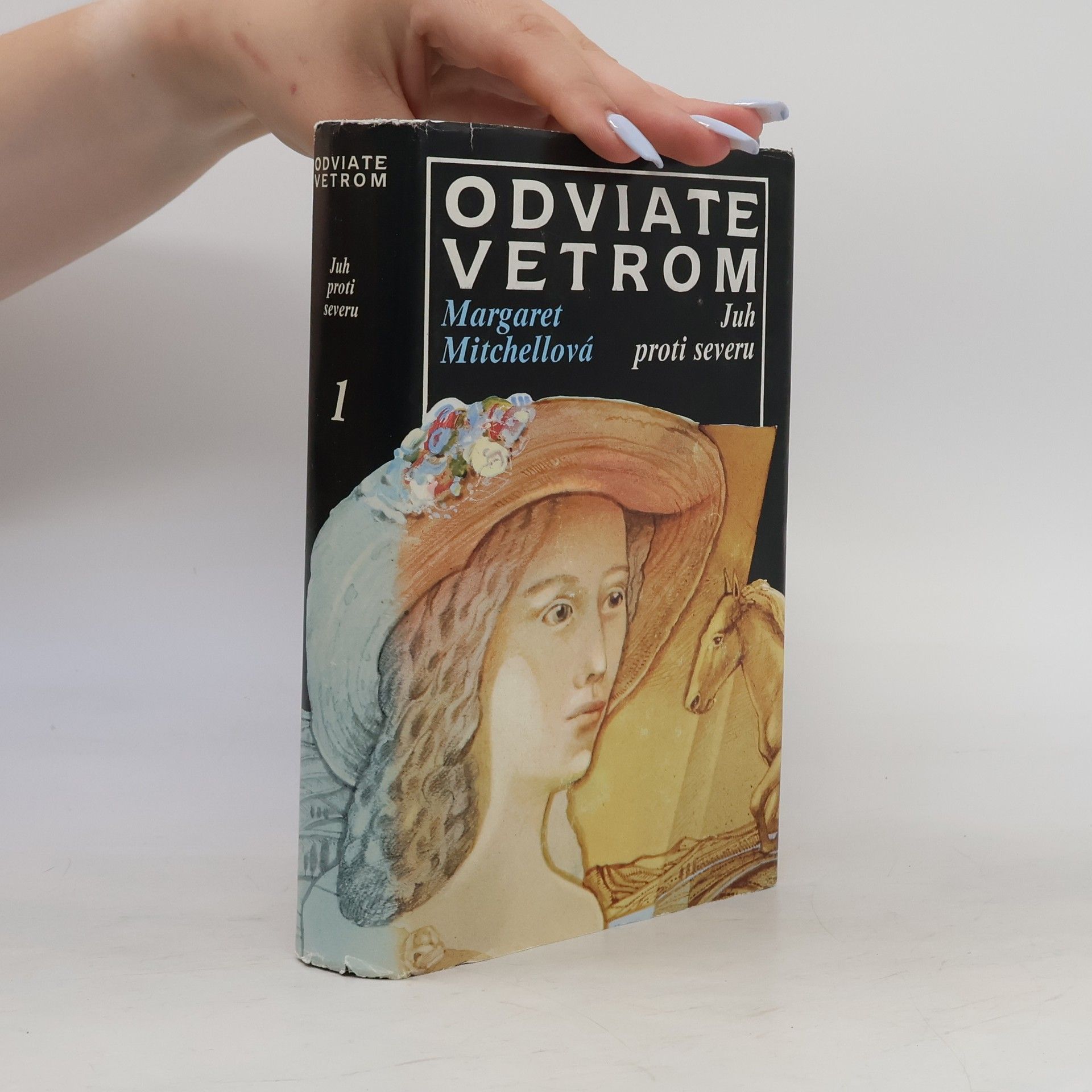 Margaret Mitchell Odviate vetrom 1. Juh proti severu