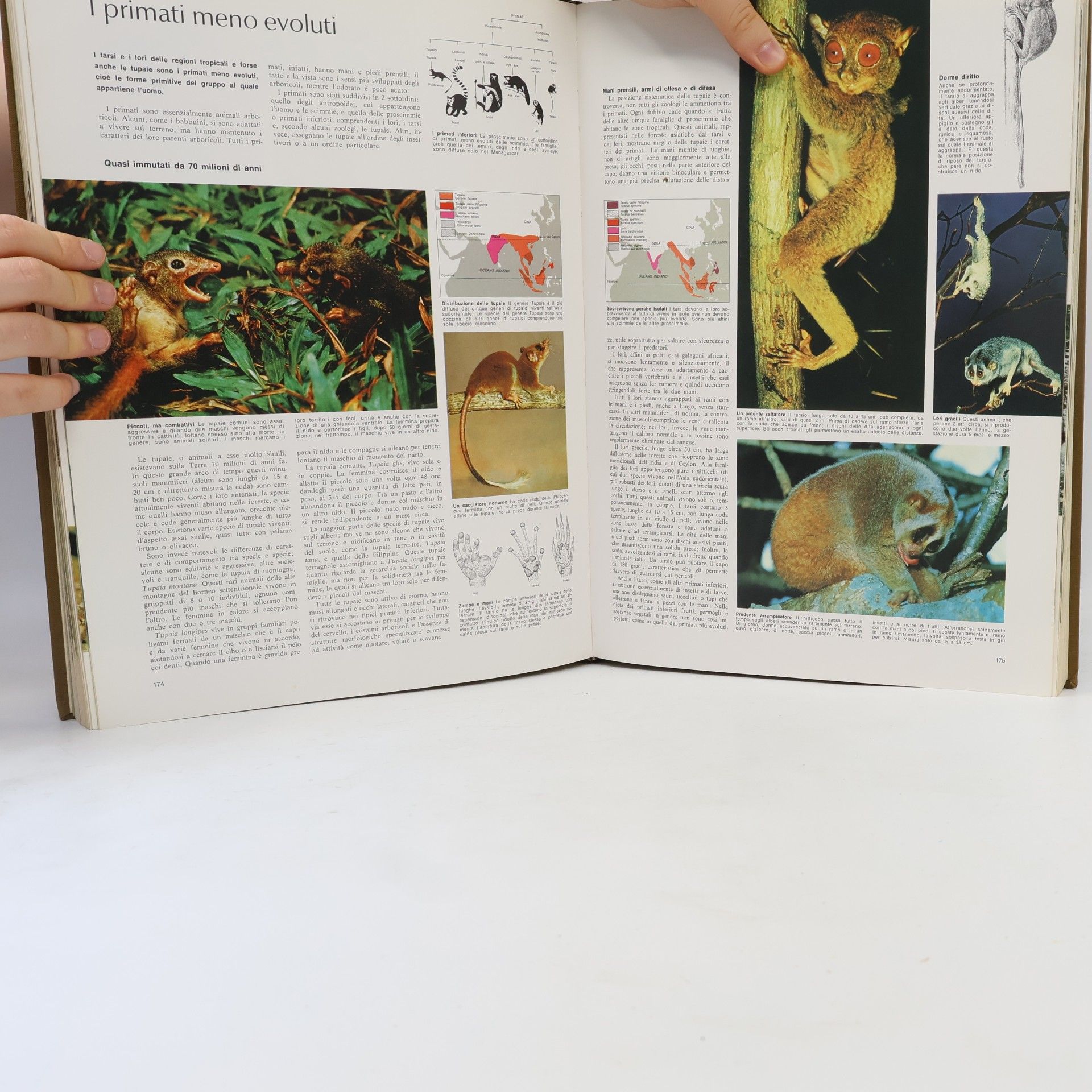 AA.VV. Il grande libro degli Animali