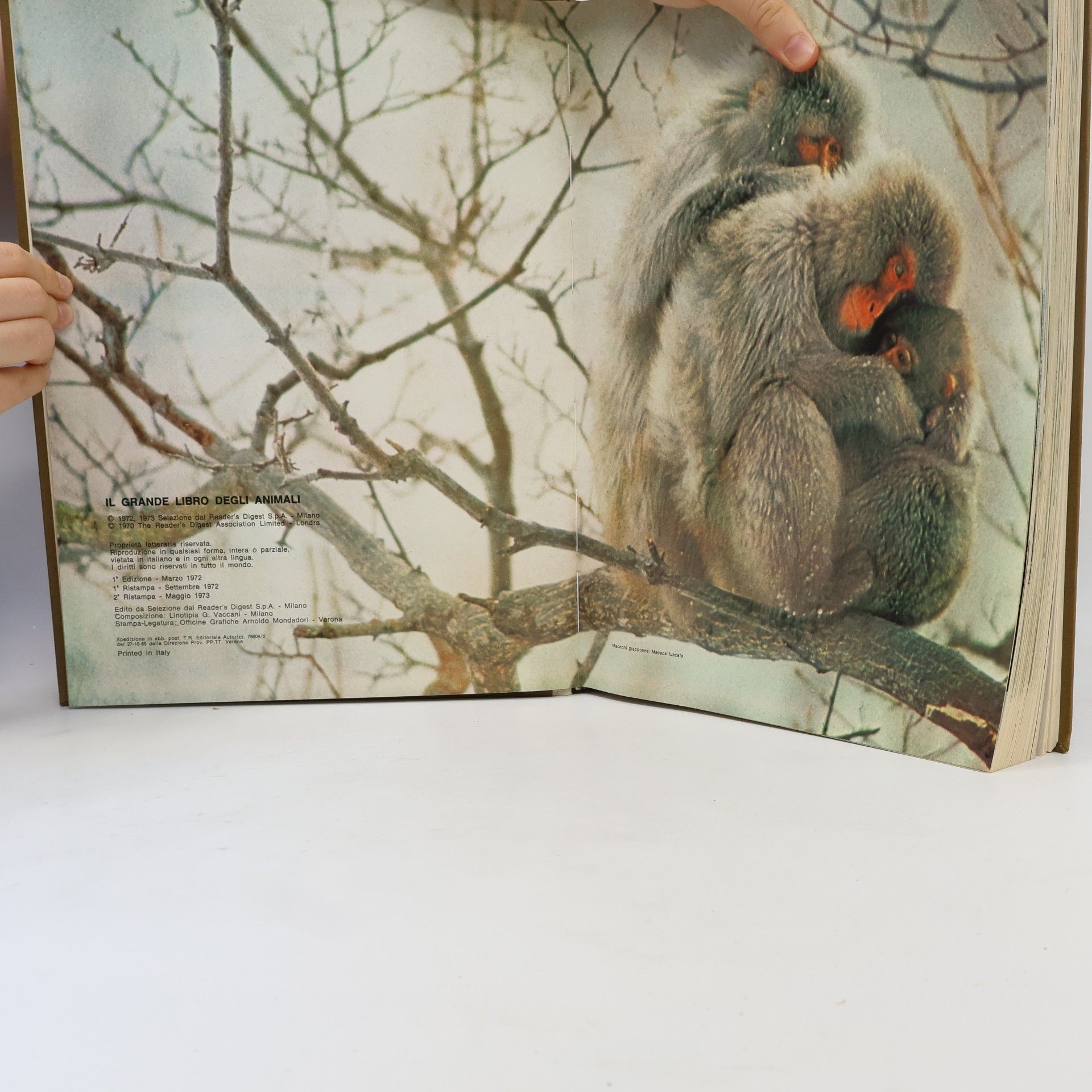 AA.VV. Il grande libro degli Animali