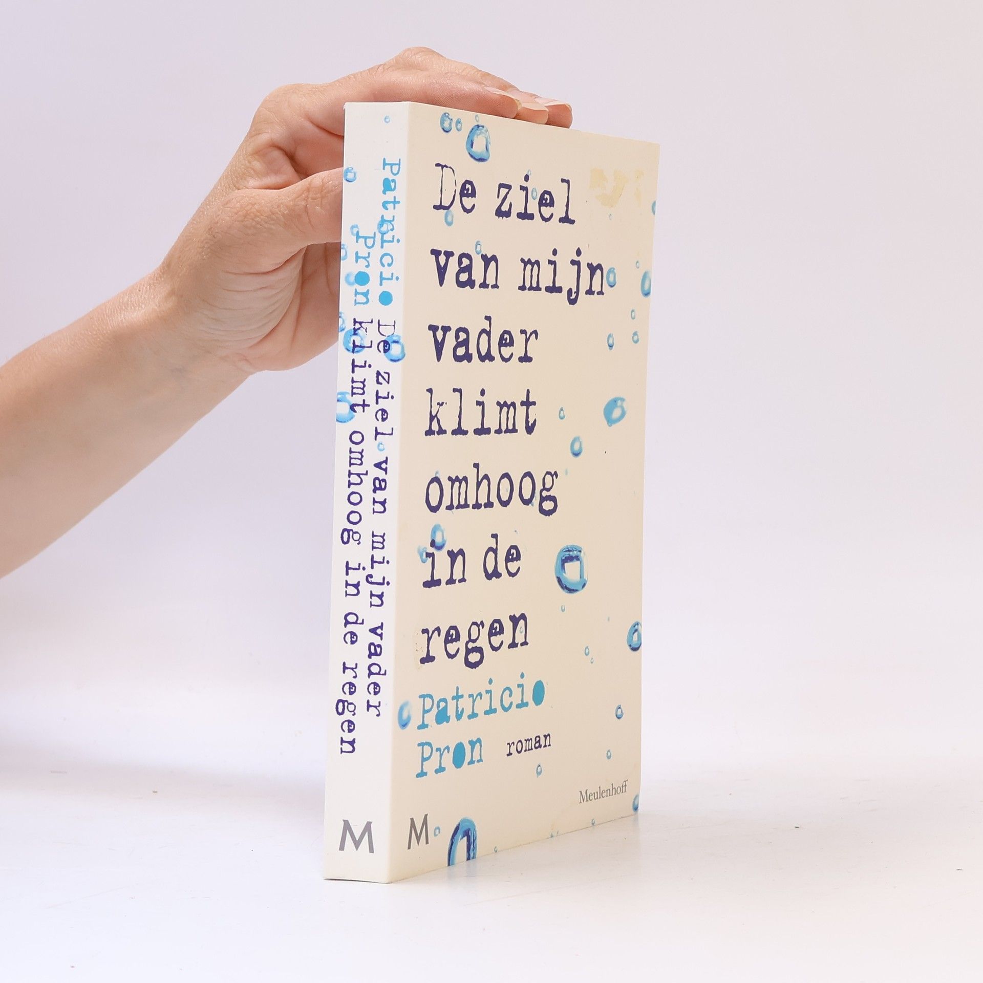 Arieke Kroes De ziel van mijn vader klimt omhoog in de regen