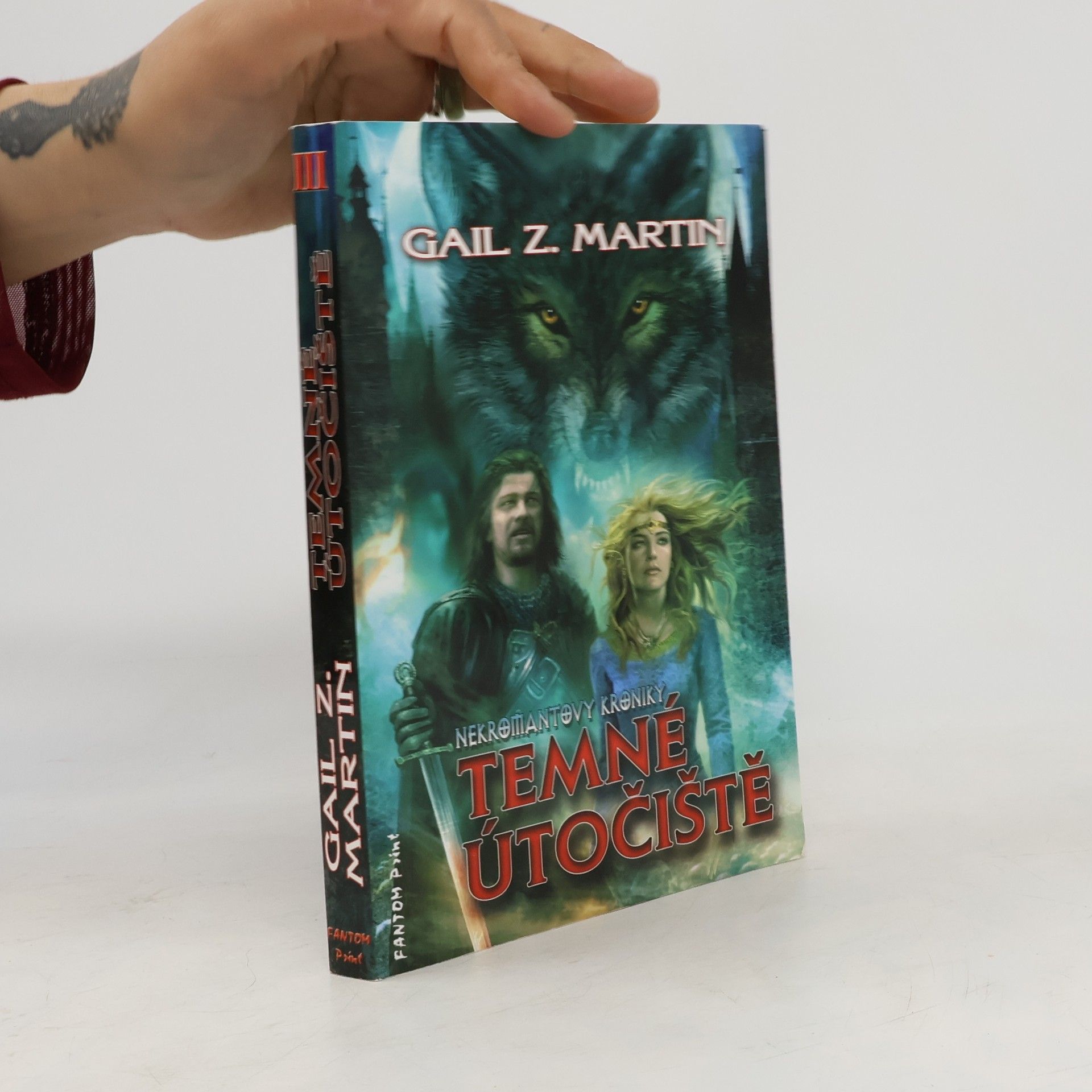 Gail Z. Martin Temné útočiště