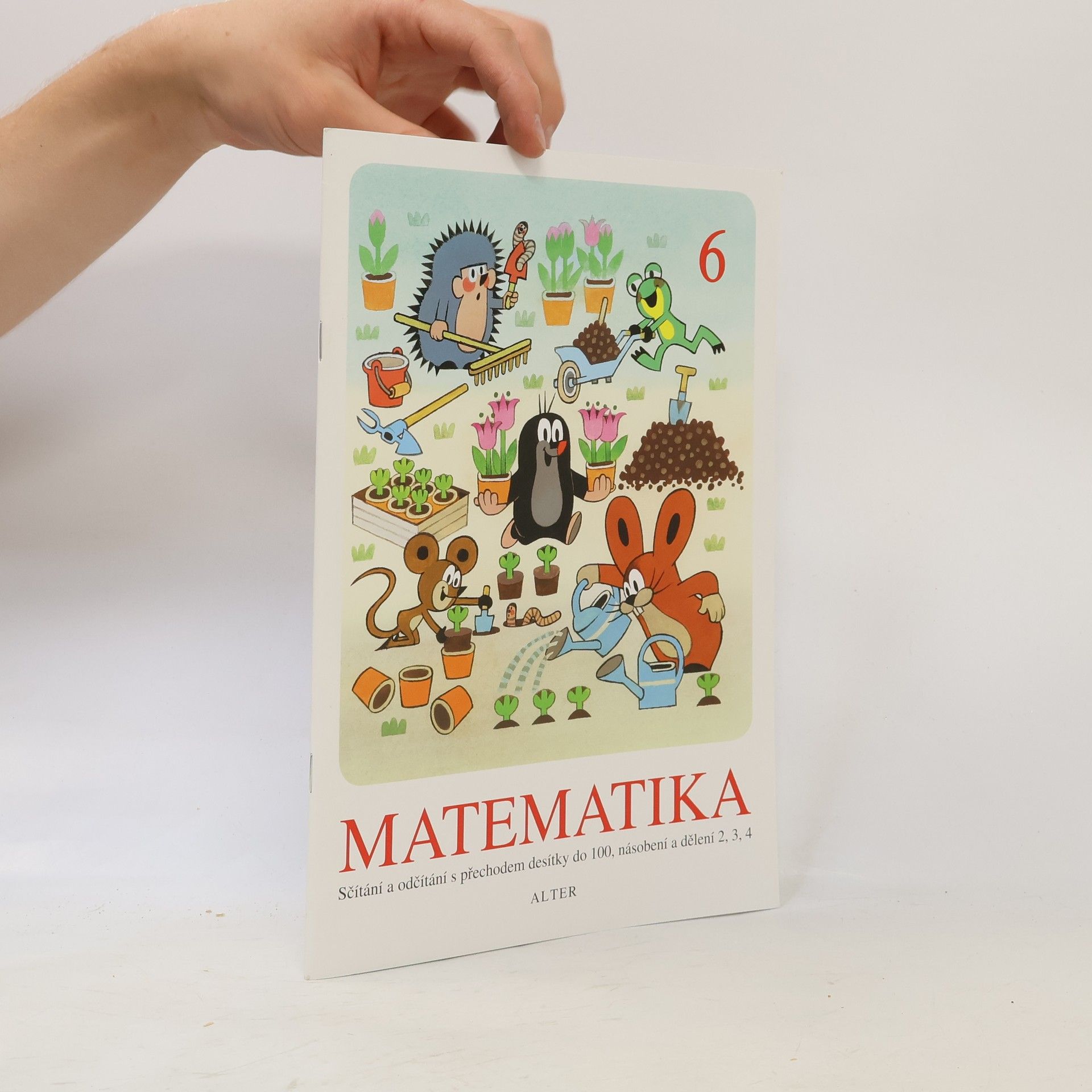 Matematika 6