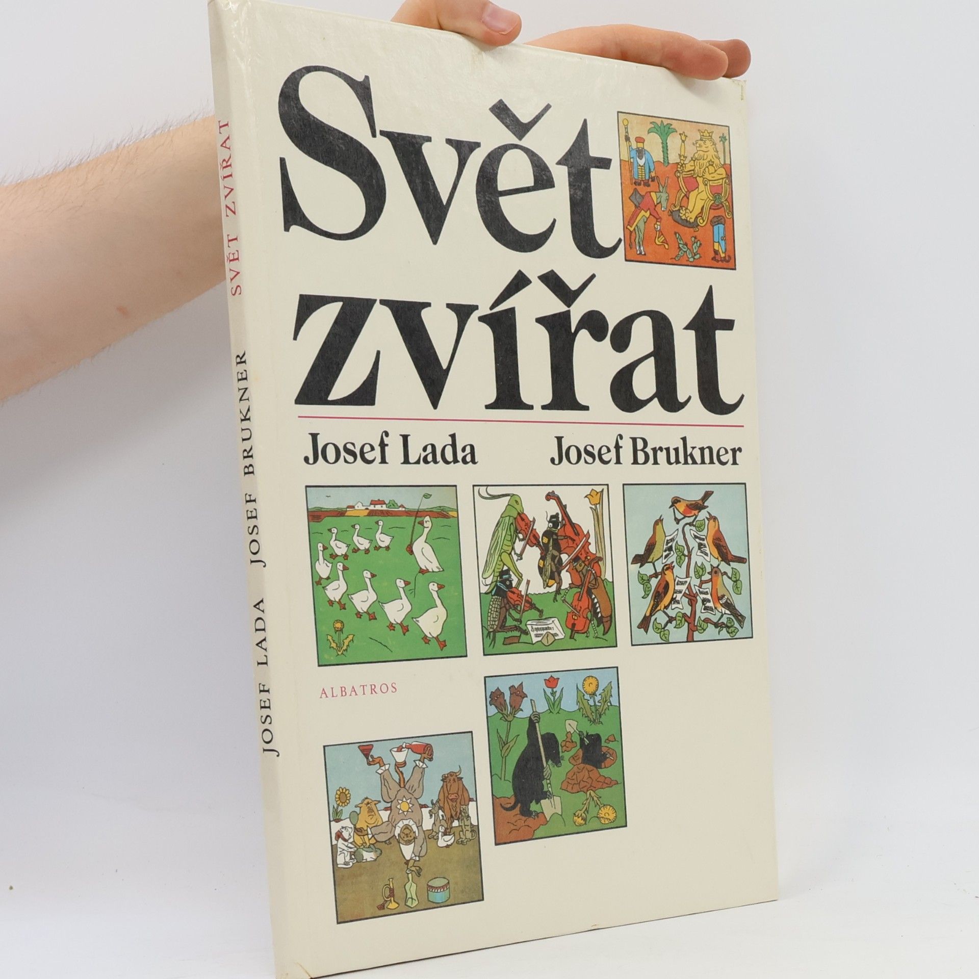 Svět zvířat