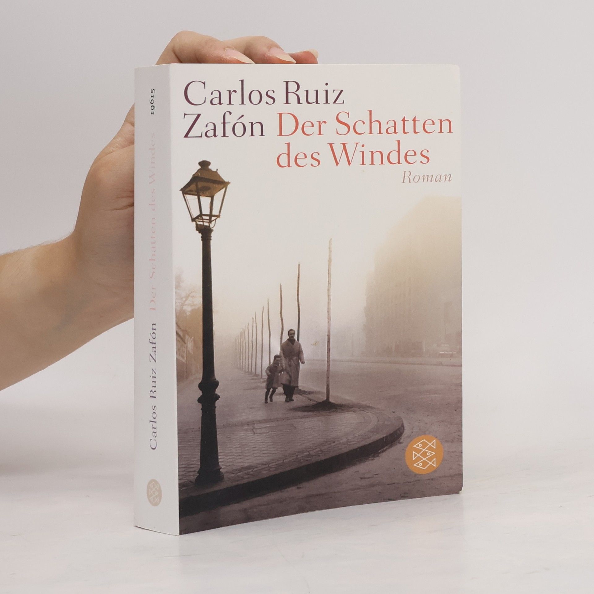 Carlos Ruiz Safon Der Schatten des Windes