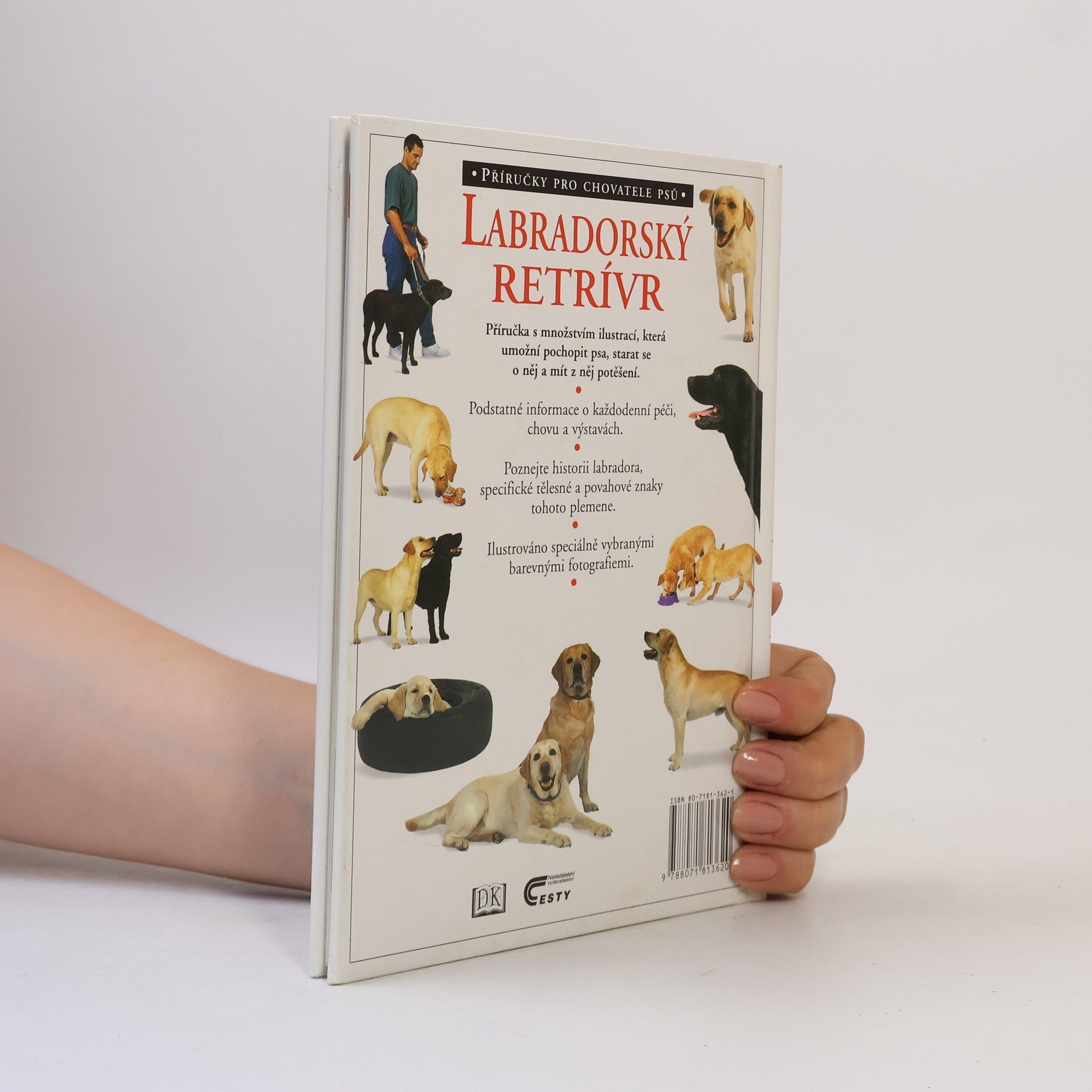 Bruce Folge Labradorský retrívr