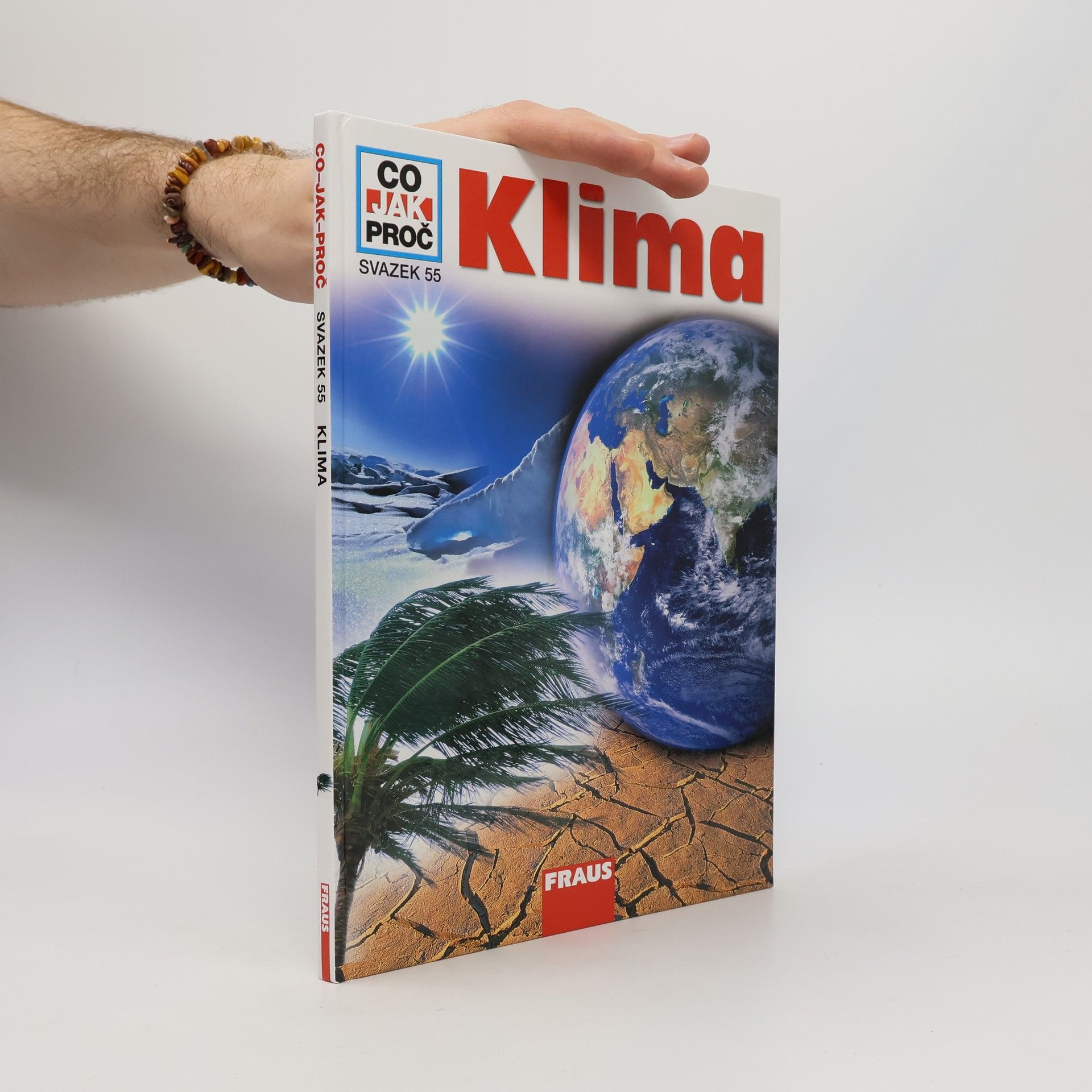 Werner Buggisch Klima
