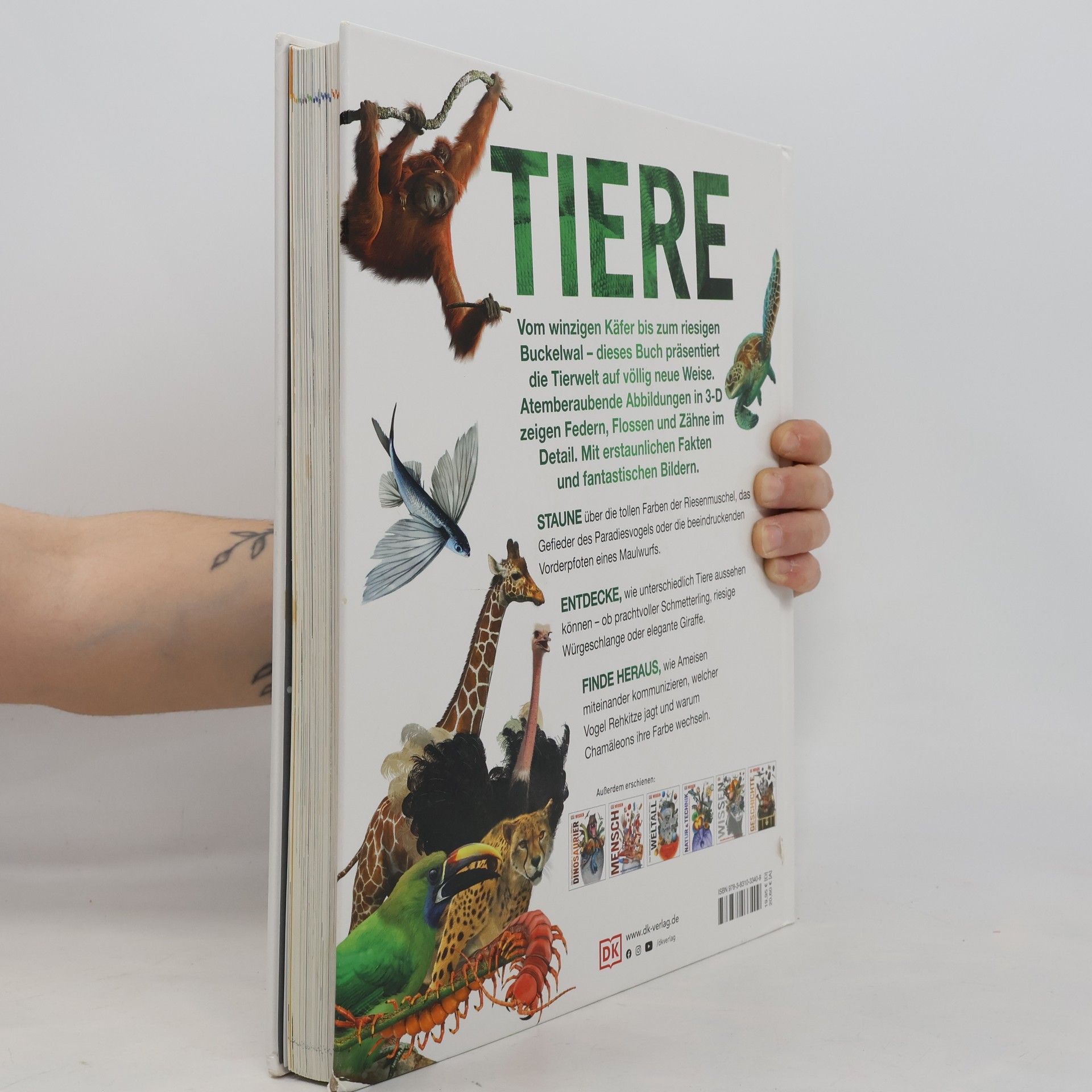 John Woodward Tiere