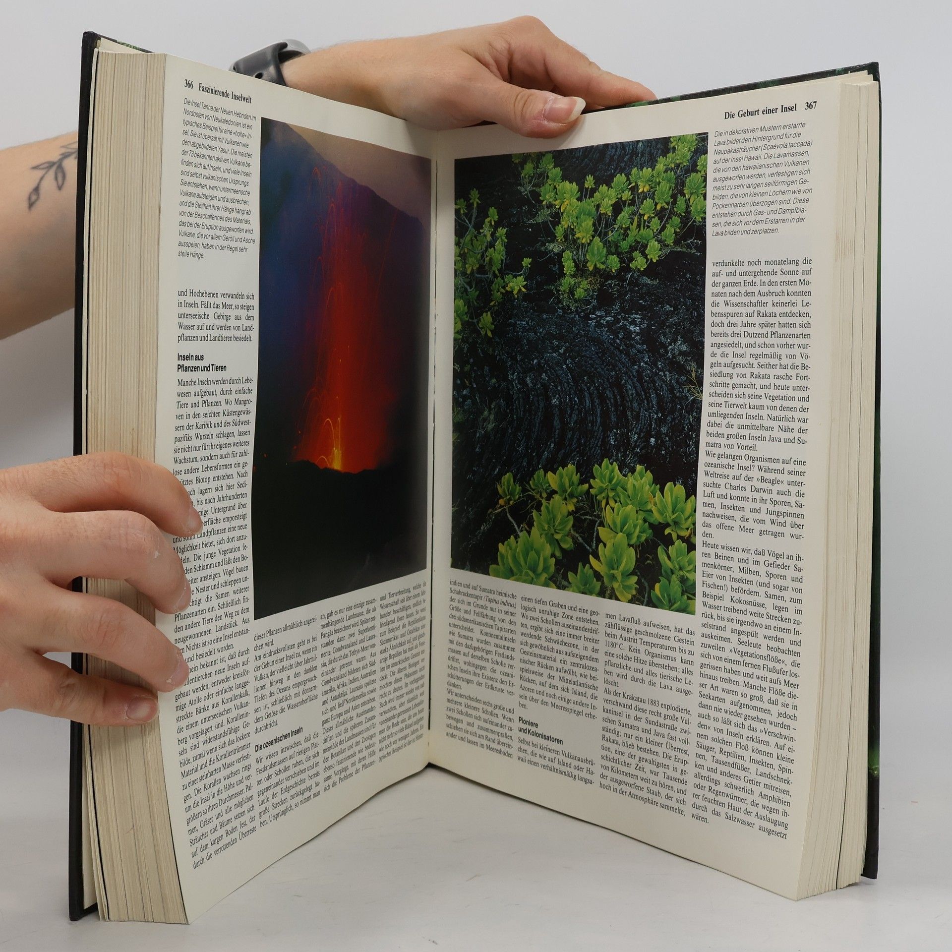 Heinz Sielmann Das grosse Buch der Tierwelt