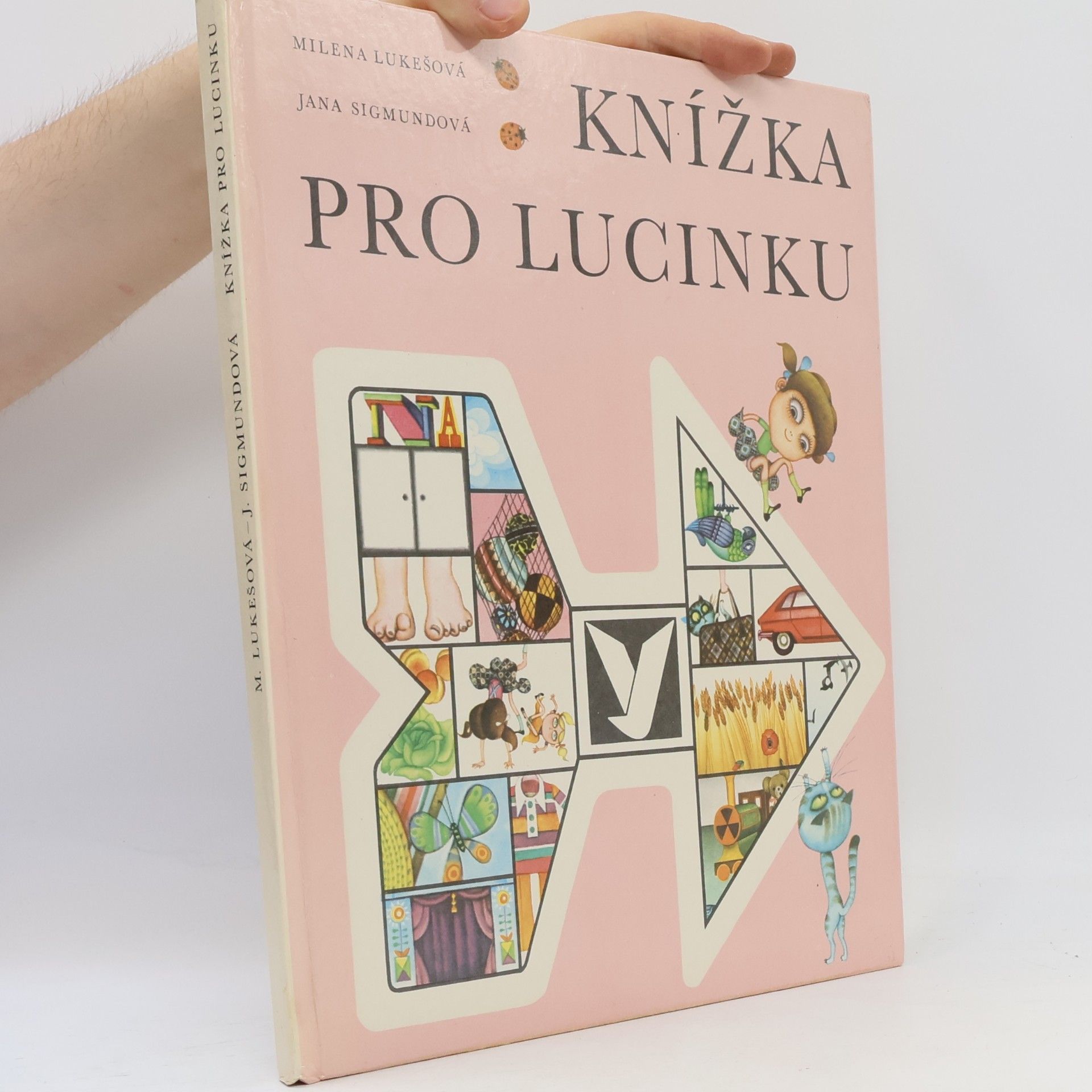 Jana Sigmundová Knížka pro Lucinku