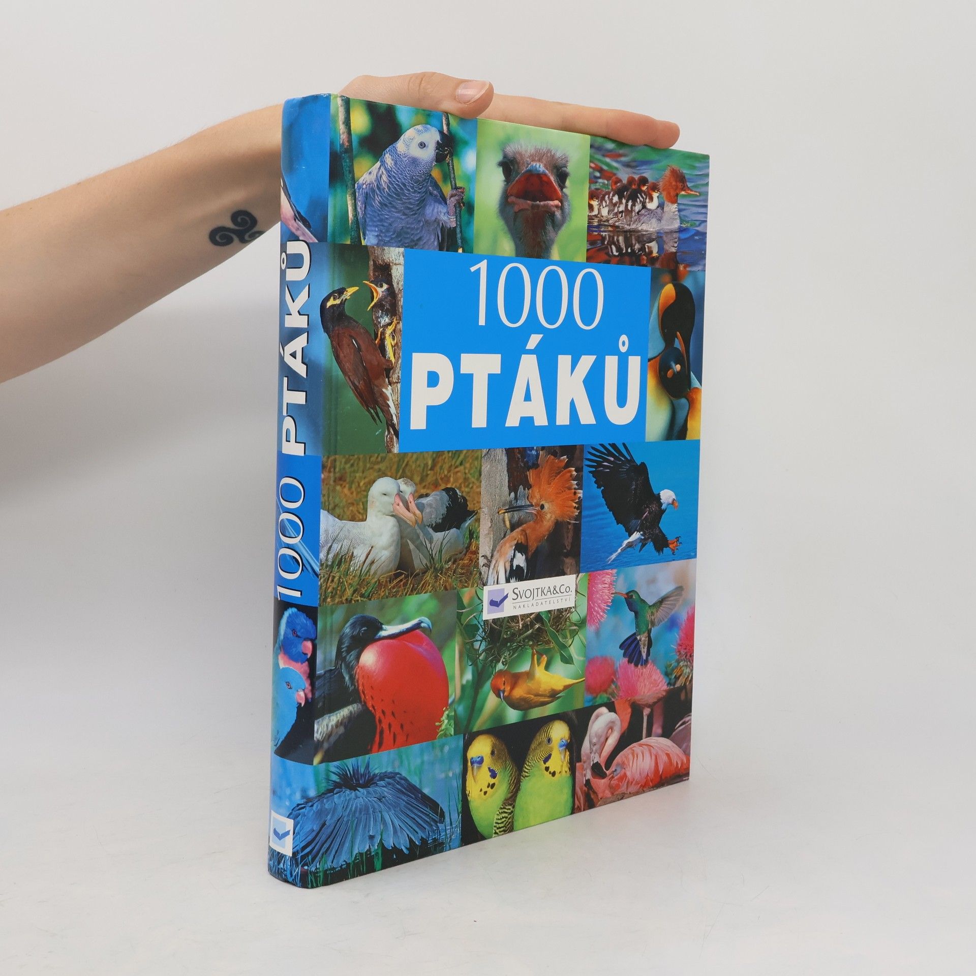 Kolektiv autorů 1000 ptáků