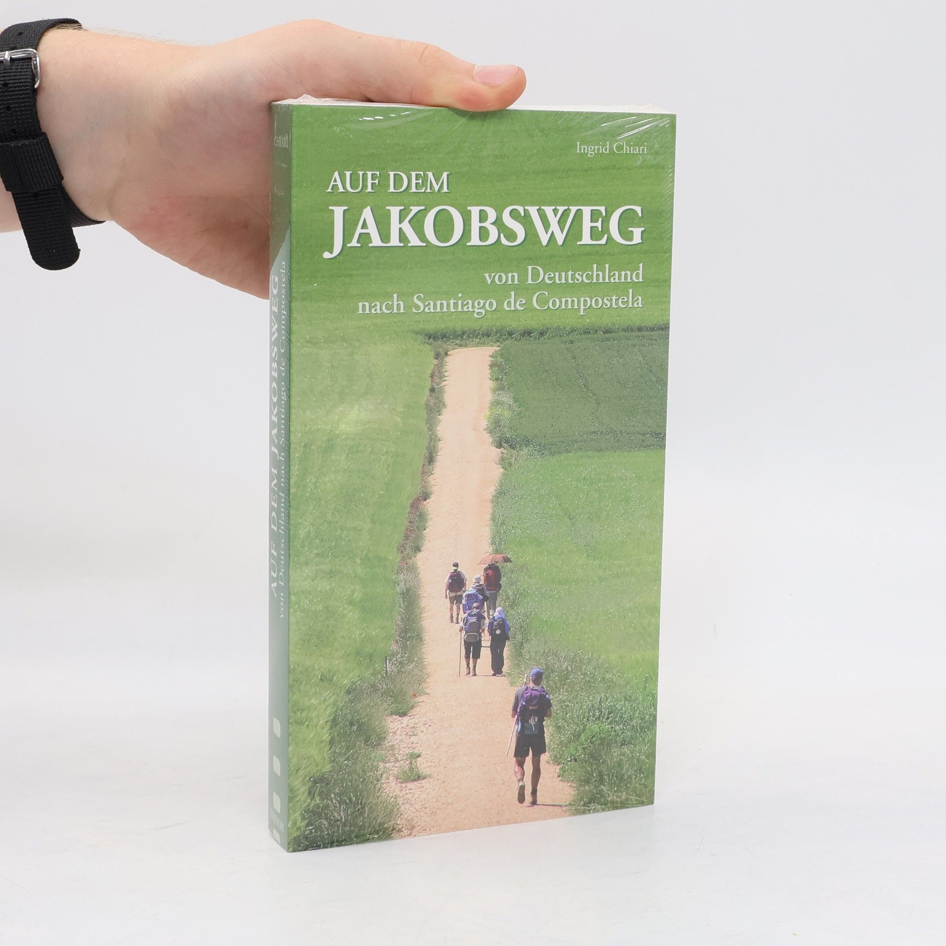 Ingrid Chiari Auf dem Jakobsweg von Deutschland nach Santiago de Compostela