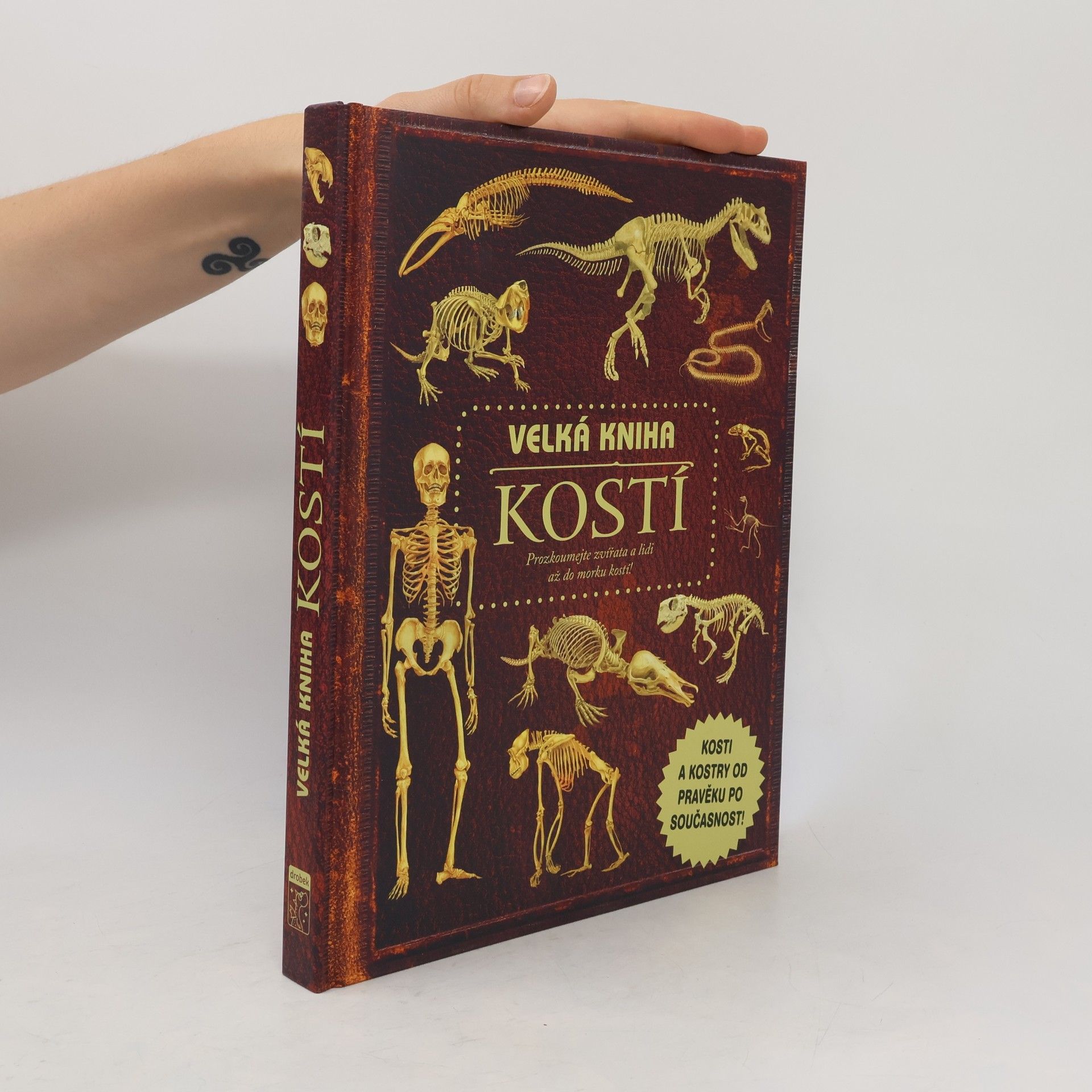 Petr Kotouš Velká kniha kostí