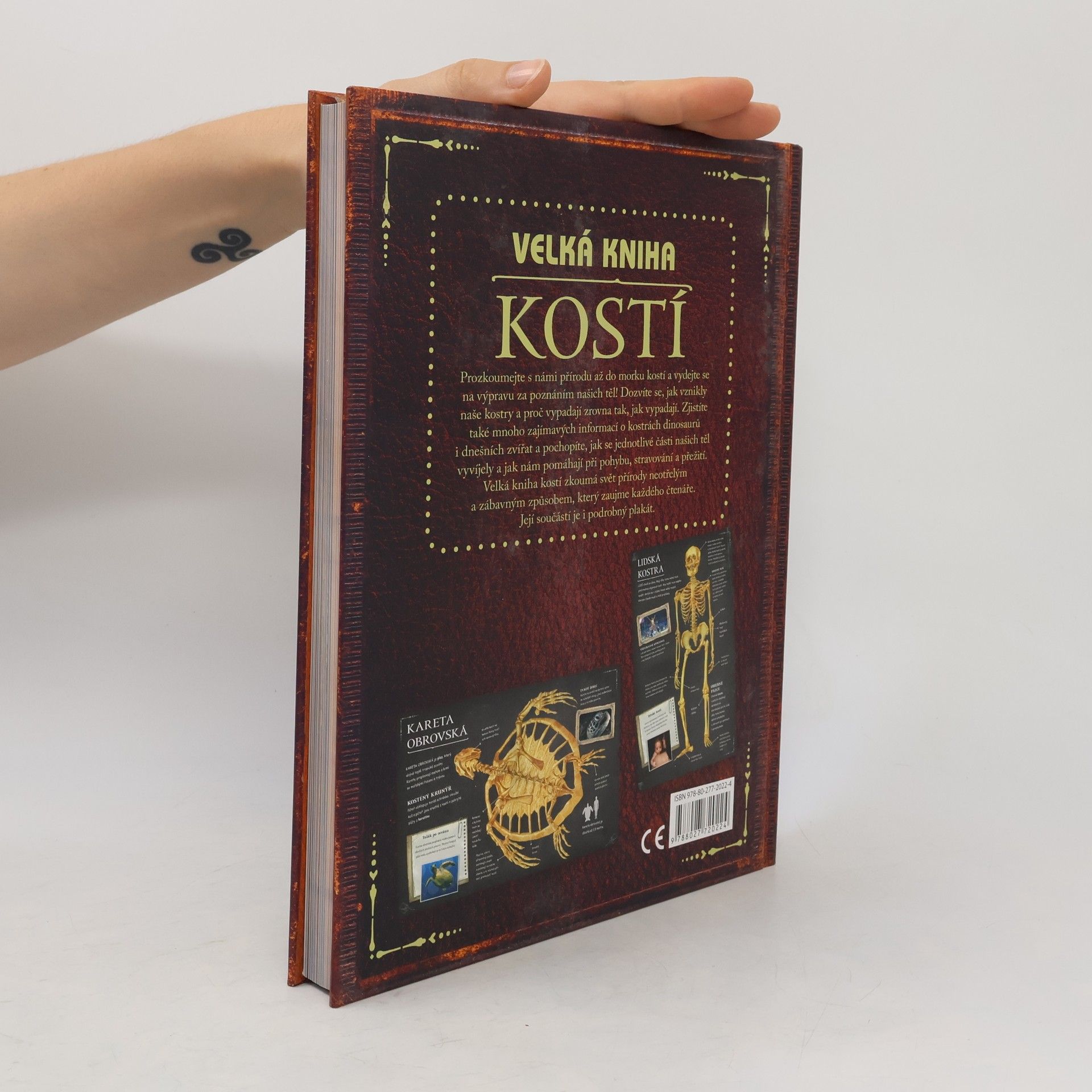 Petr Kotouš Velká kniha kostí