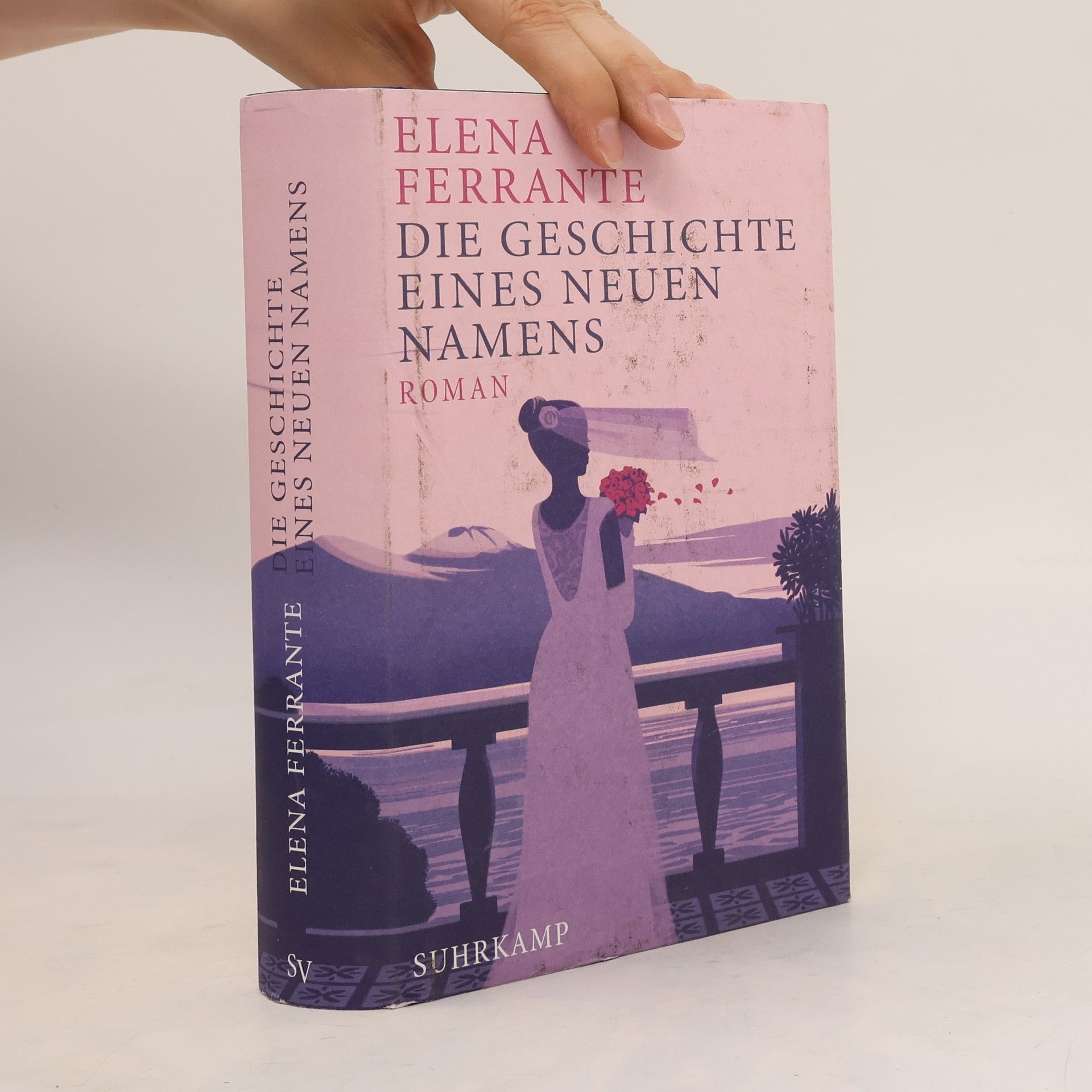 Elena Ferrante Die Geschichte eines neuen Namens: Jugendjahre