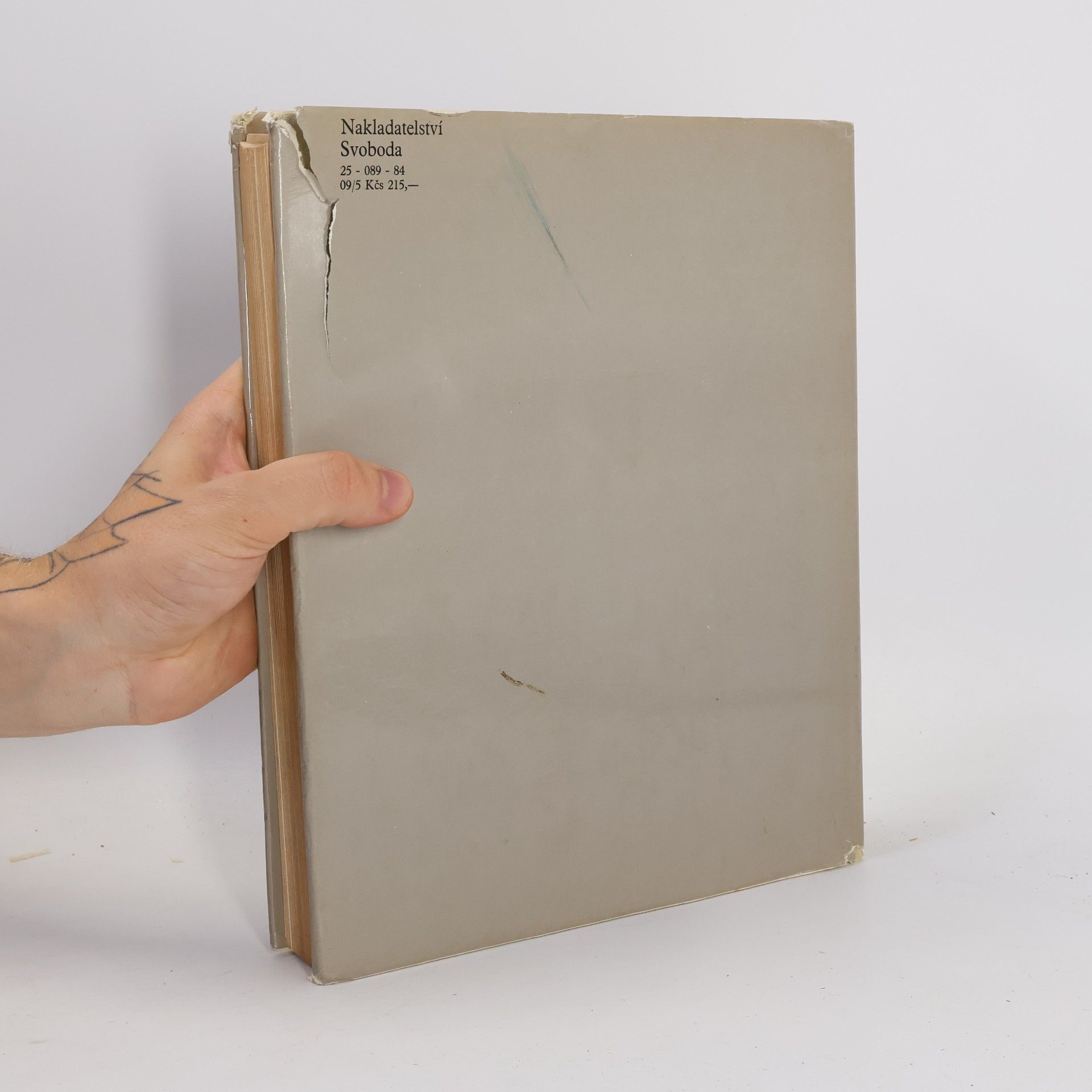 Various authors Hrady, zámky a tvrze v Čechách, na Moravě a ve Slezsku III. Severní Čechy