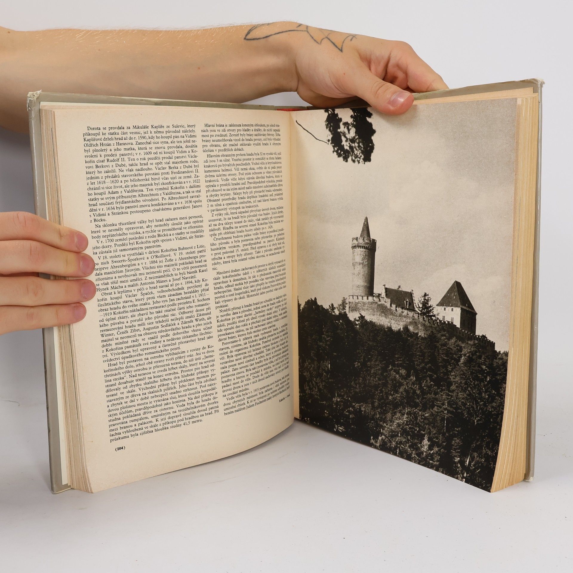 Various authors Hrady, zámky a tvrze v Čechách, na Moravě a ve Slezsku III. Severní Čechy