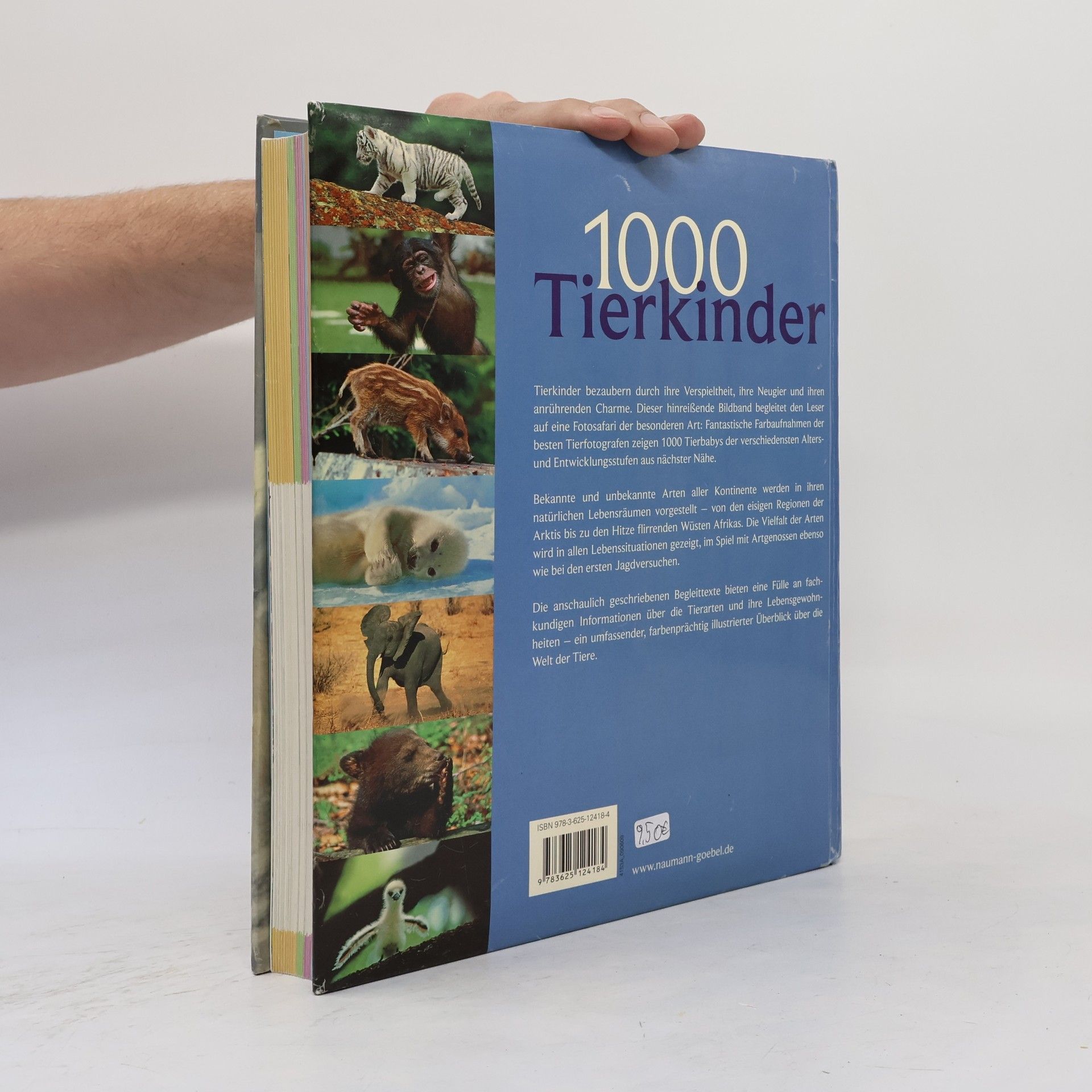 Ulrike Schöber 1000 Tierkinder