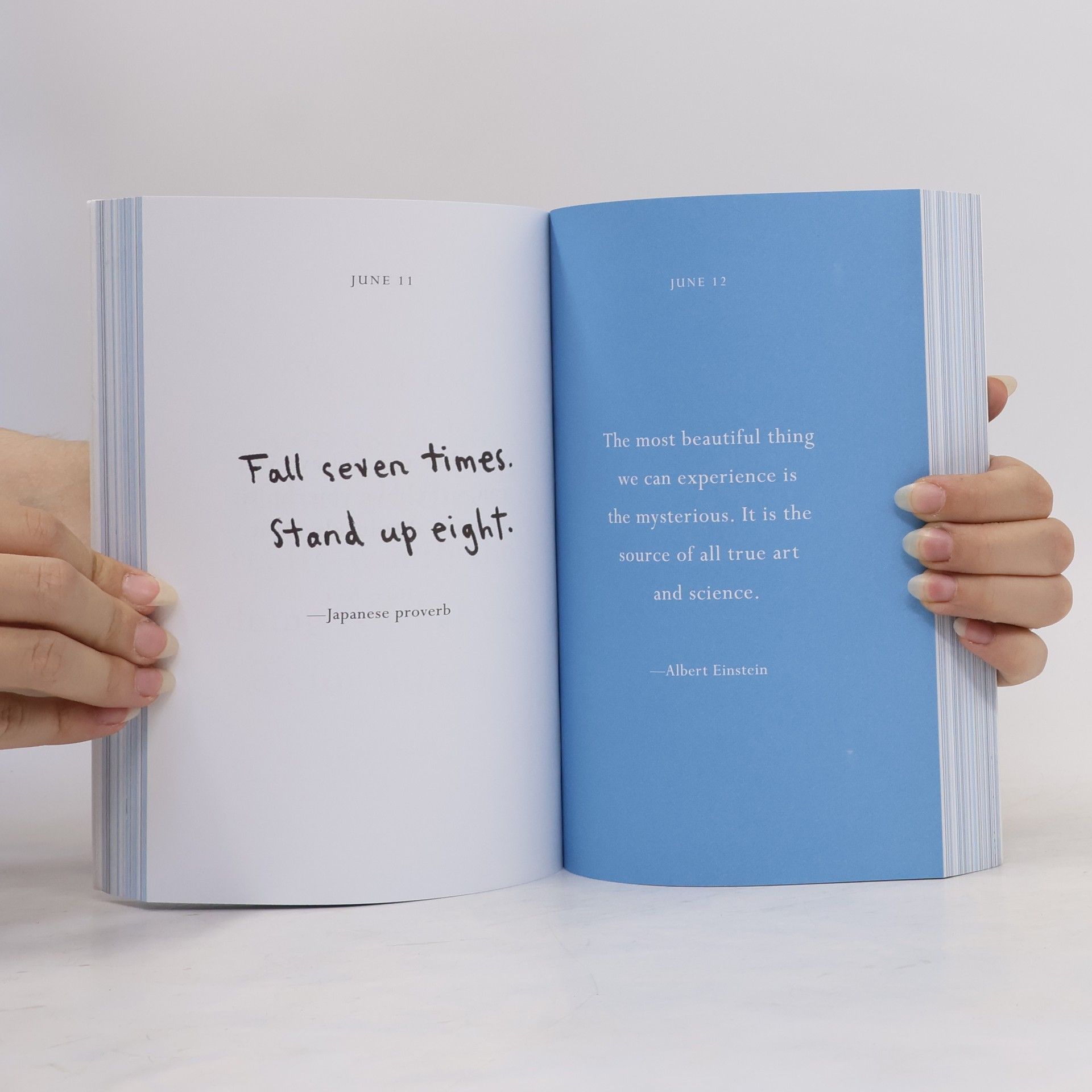 R. J. Palacio 365 Days of Wonder