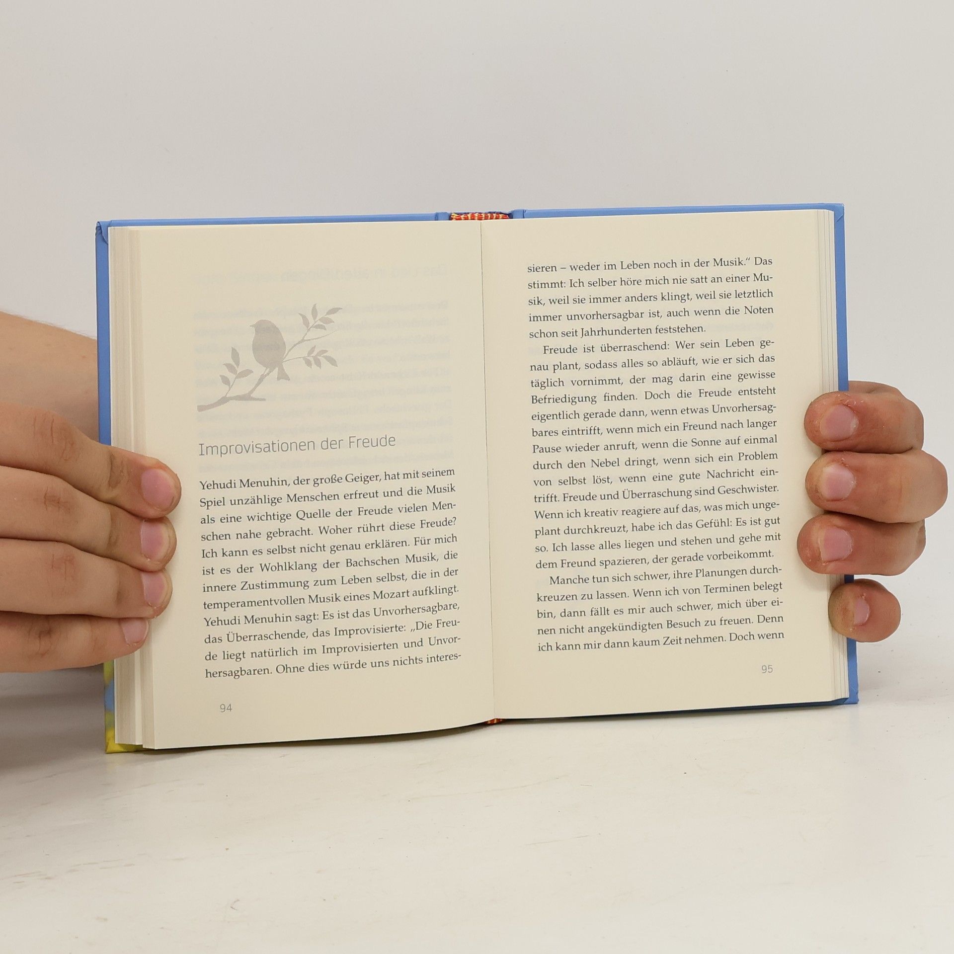 Anselm Grün Das kleine Buch der Lebenslust