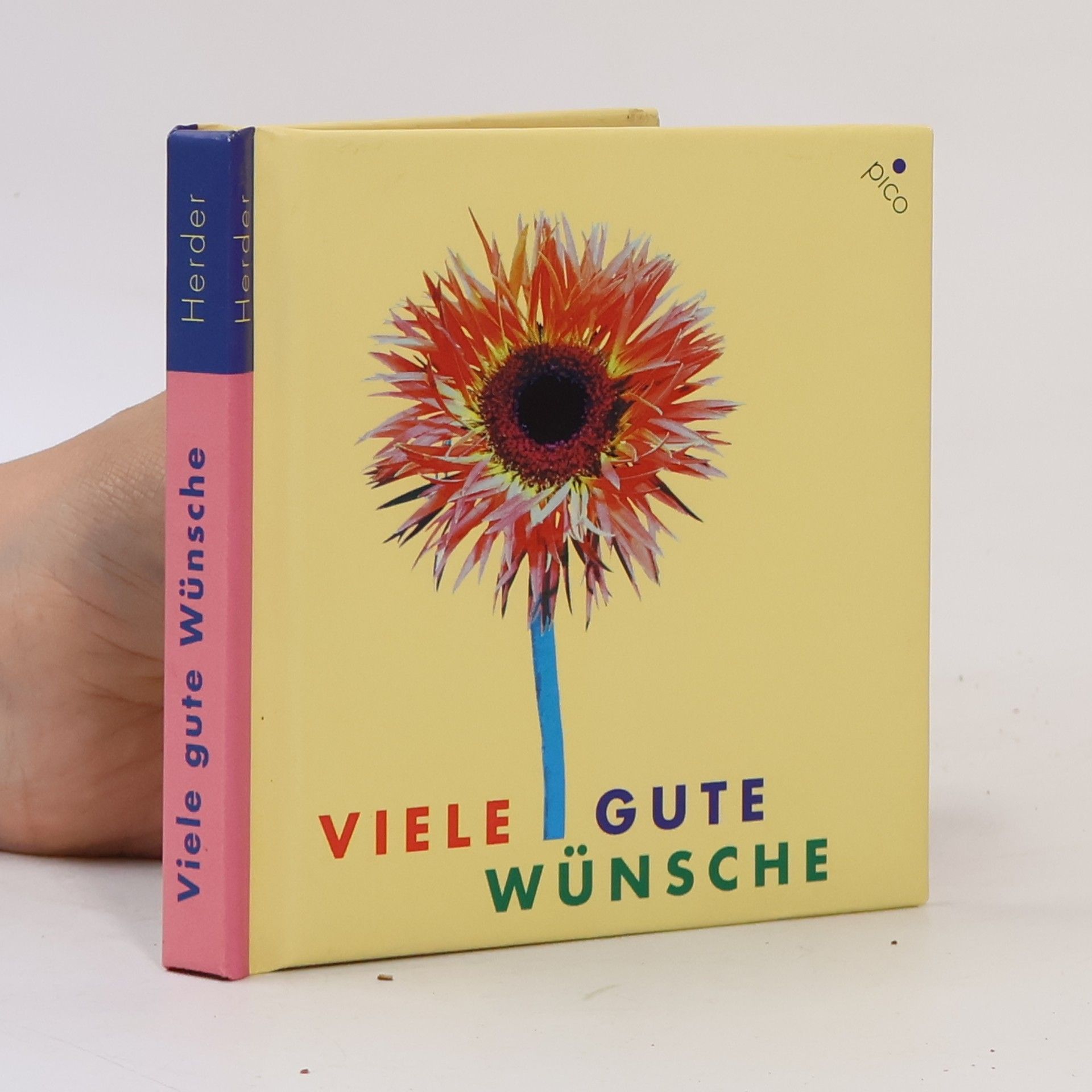 Autorenkollektiv Pico: Viele gute Wünsche