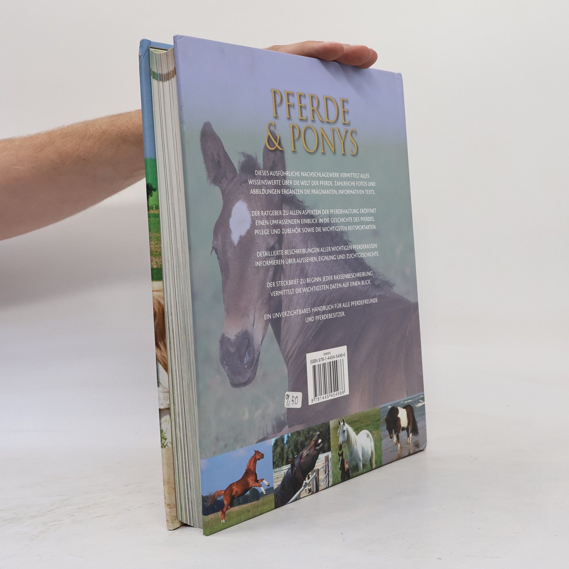 Debby Sly Pferde und Ponys. Alles über Pferdepflege, Reitsport und die Geschichte des Pferdes. Über 200 Rassen