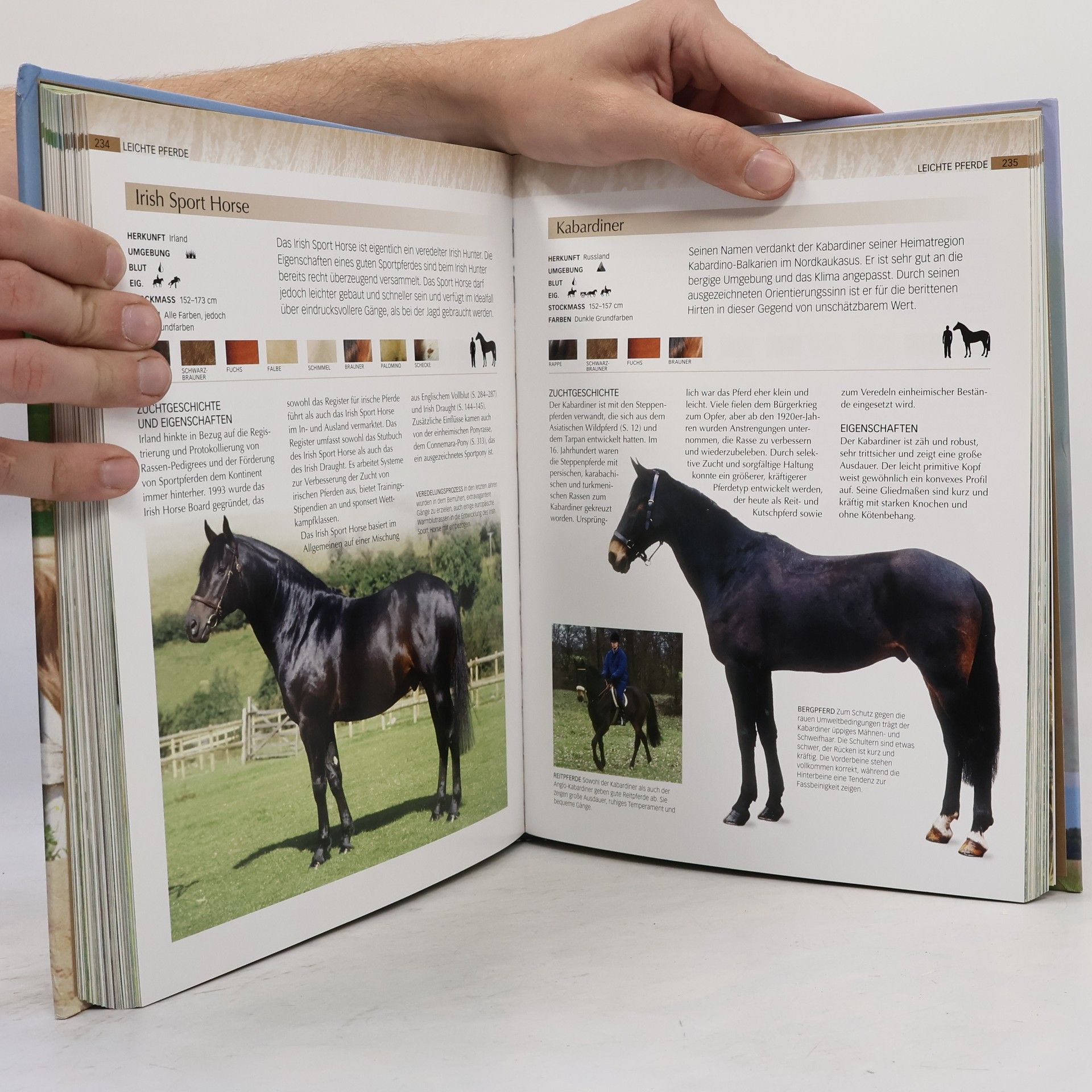 Debby Sly Pferde und Ponys. Alles über Pferdepflege, Reitsport und die Geschichte des Pferdes. Über 200 Rassen
