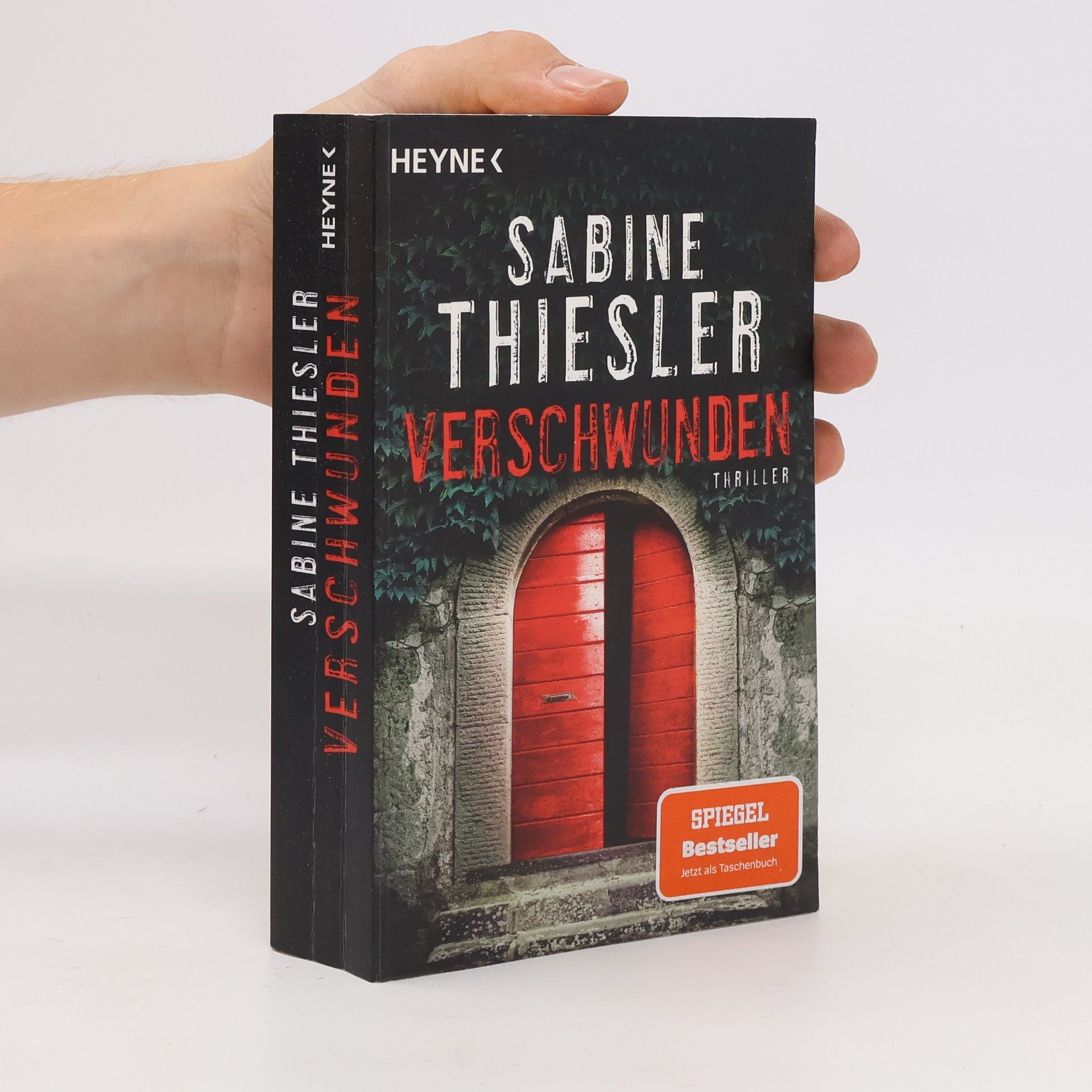 Sabine Thiesler Verschwunden