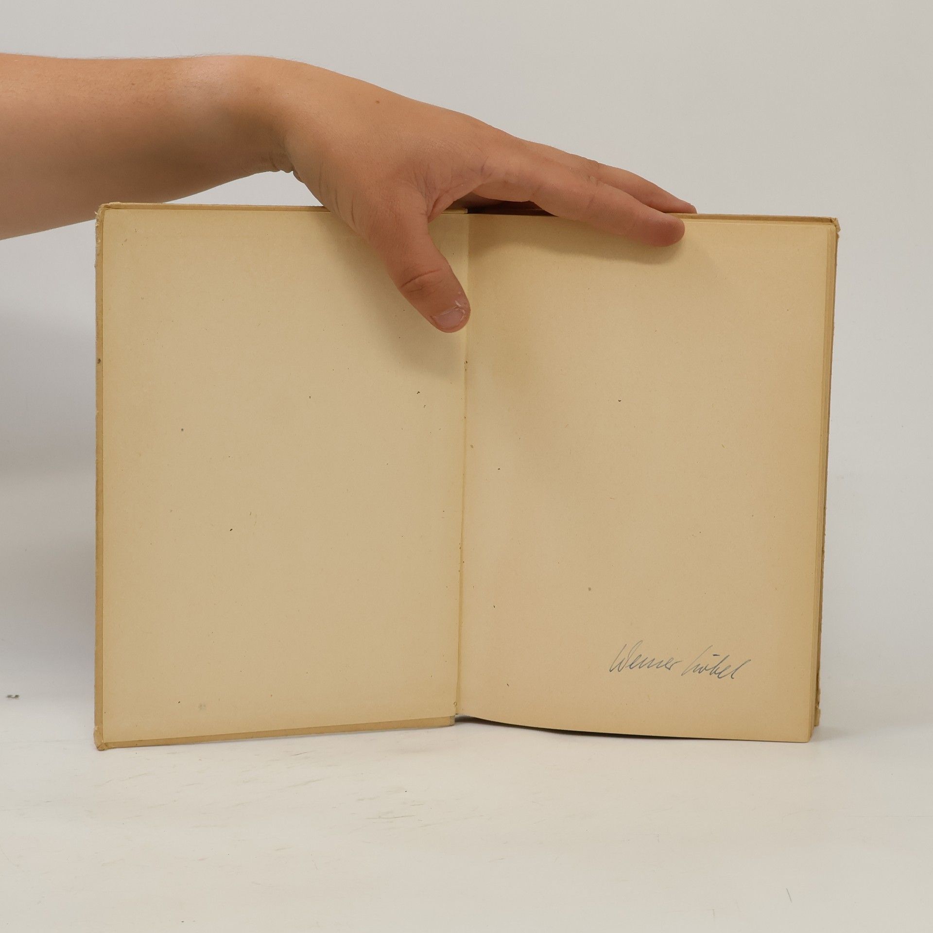 R. Rothe Höhere Mathematik V.