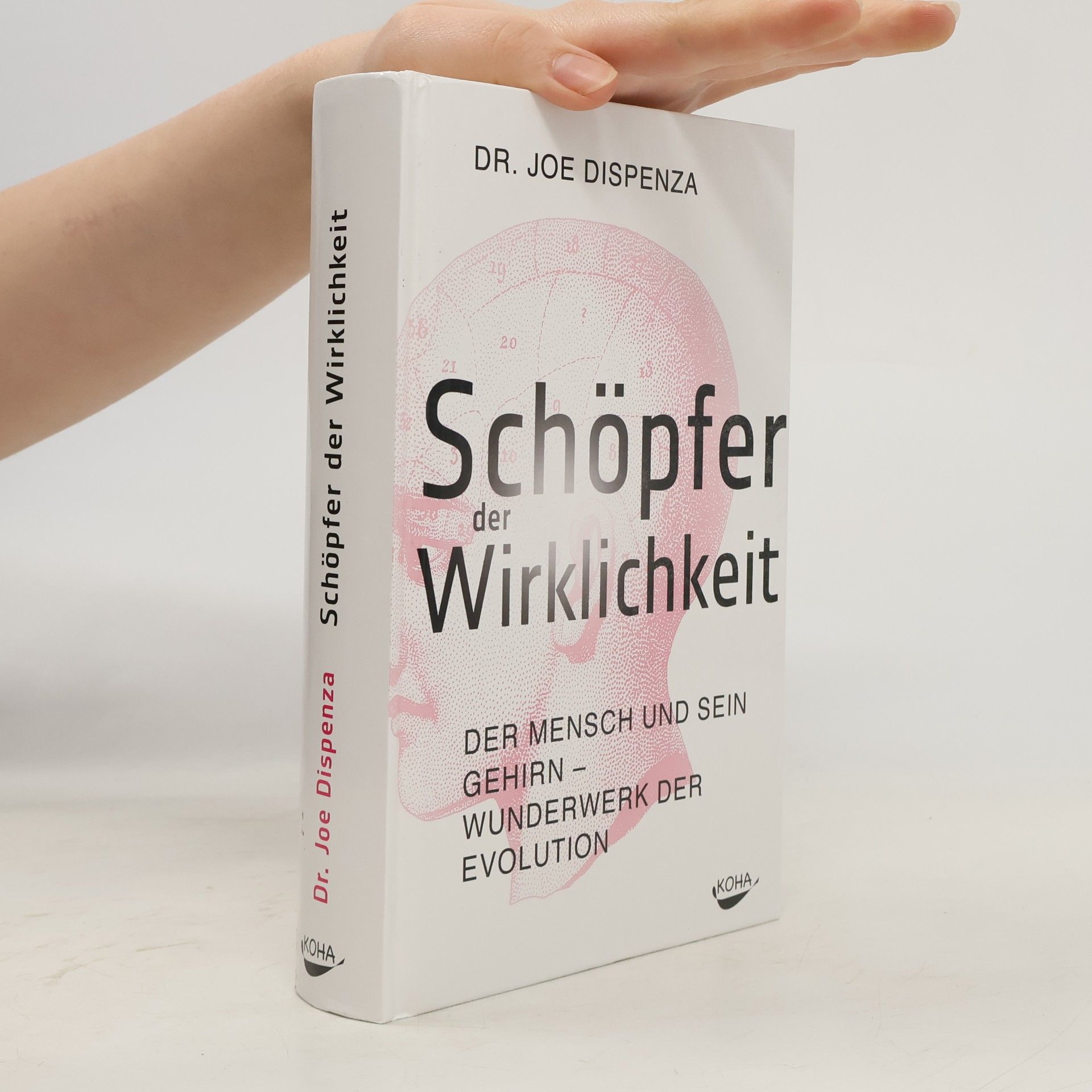 Joe Dispenza Schöpfer der Wirklichkeit