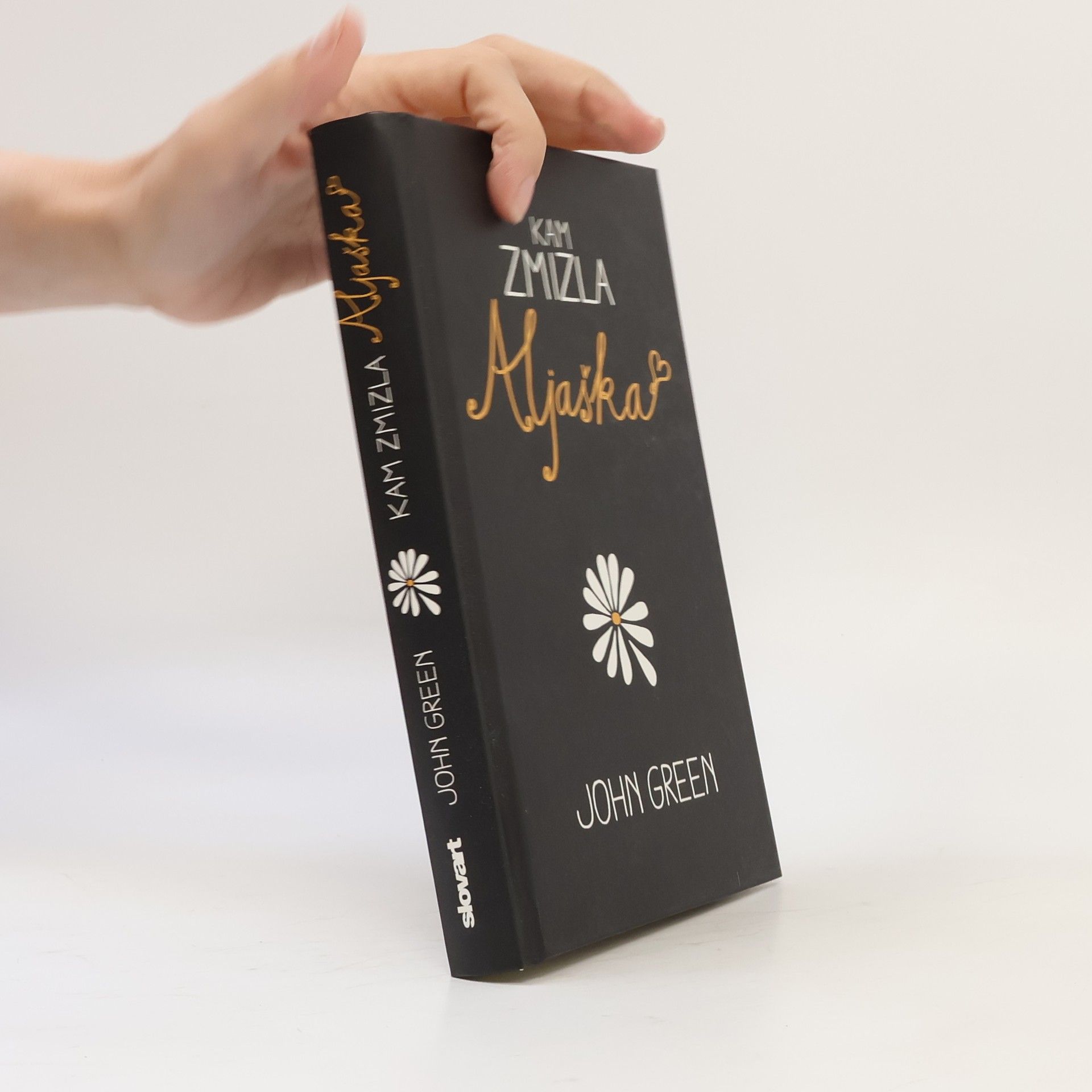 John Green Kam zmizla Aljaška