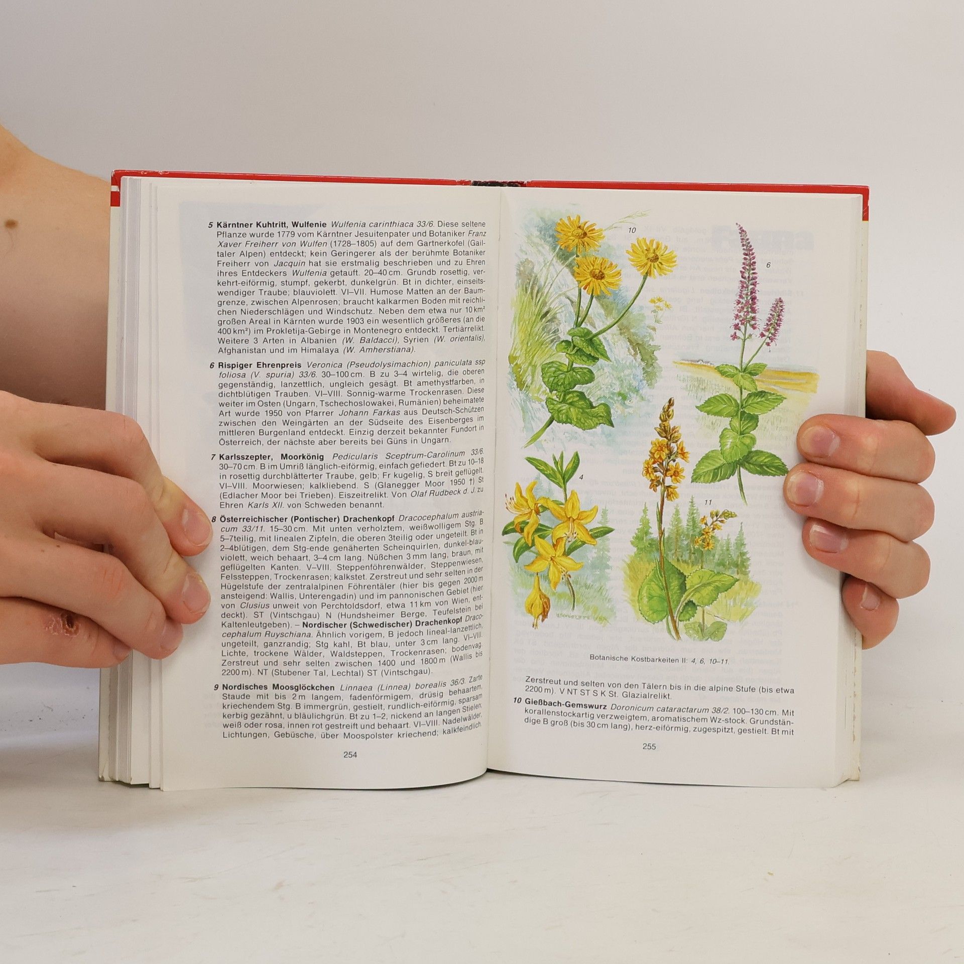 Various authors Naturführer Österreich. Flora und Fauna