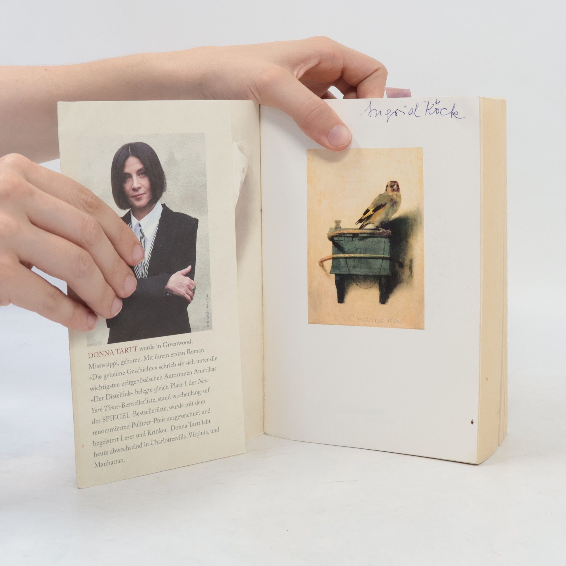 Donna Tartt Der Distelfink