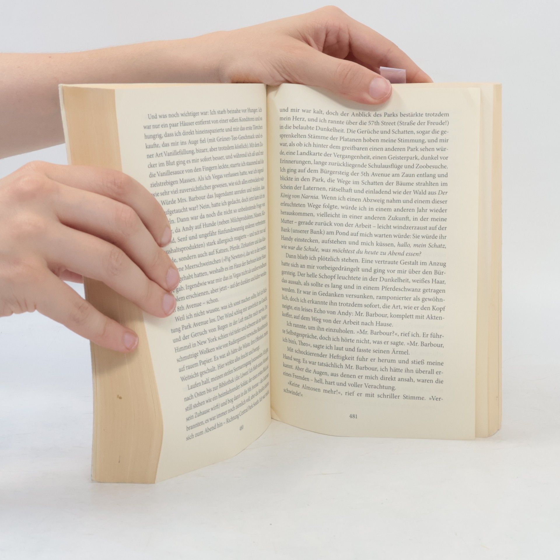 Donna Tartt Der Distelfink