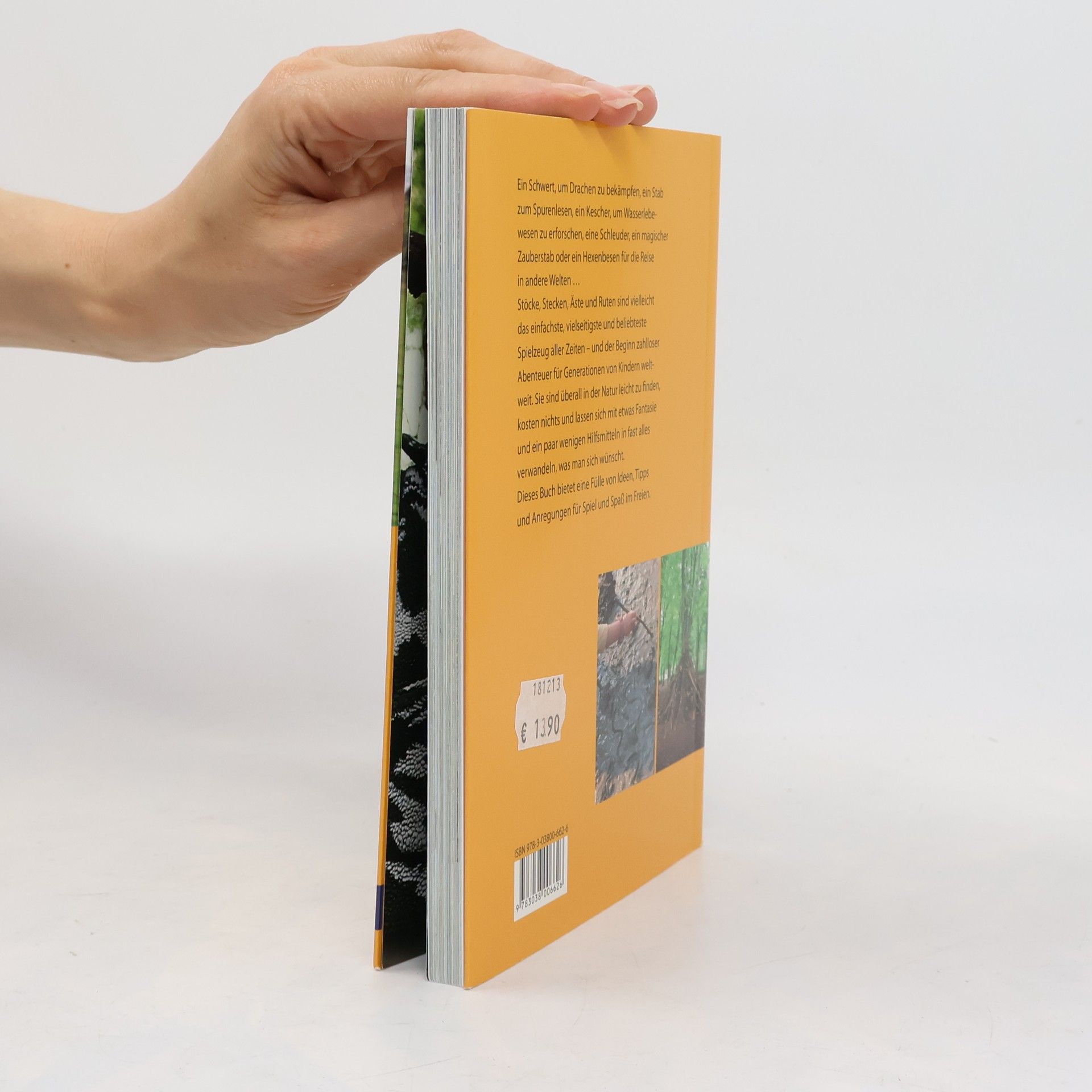 Fiona Danks Das Buch vom Stock