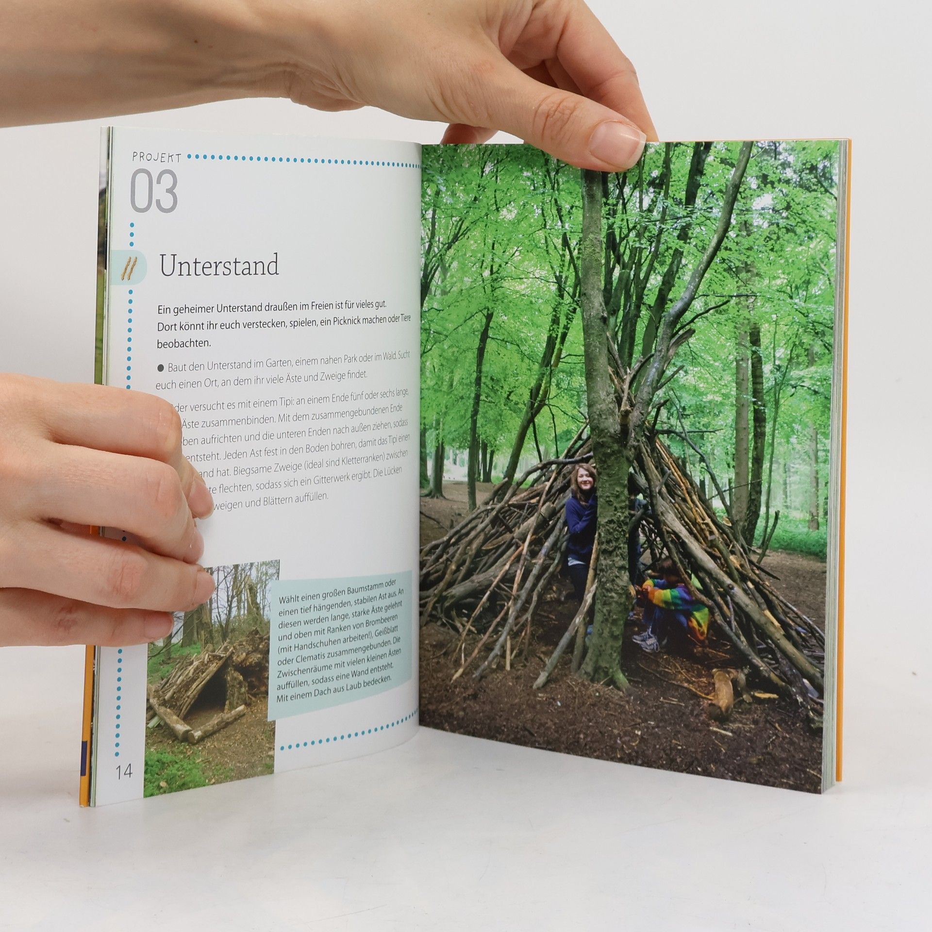 Fiona Danks Das Buch vom Stock