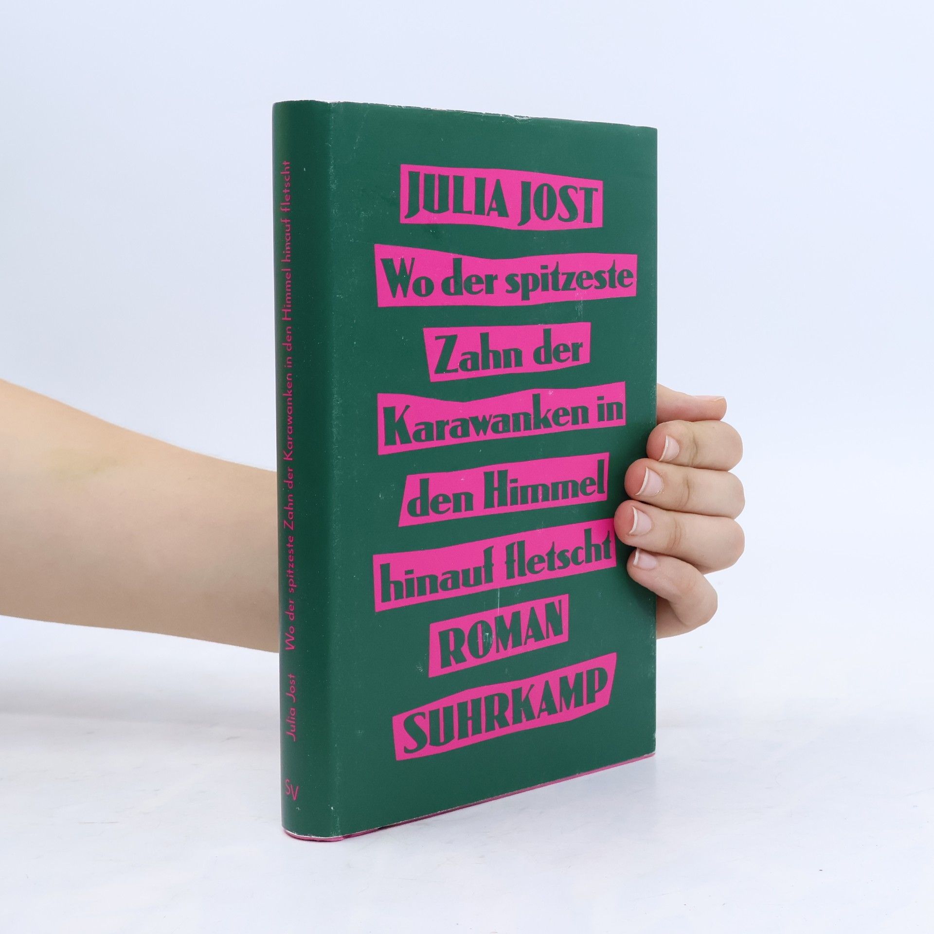 Julia Jost Wo der spitzeste Zahn der Karawanken in den Himmel hinauf fletscht